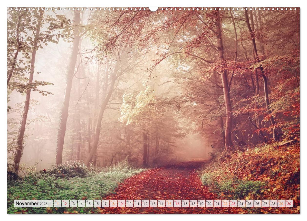 Bild: 9783435071173 | Wald - mystische Spaziergänge (Wandkalender 2025 DIN A2 quer),...