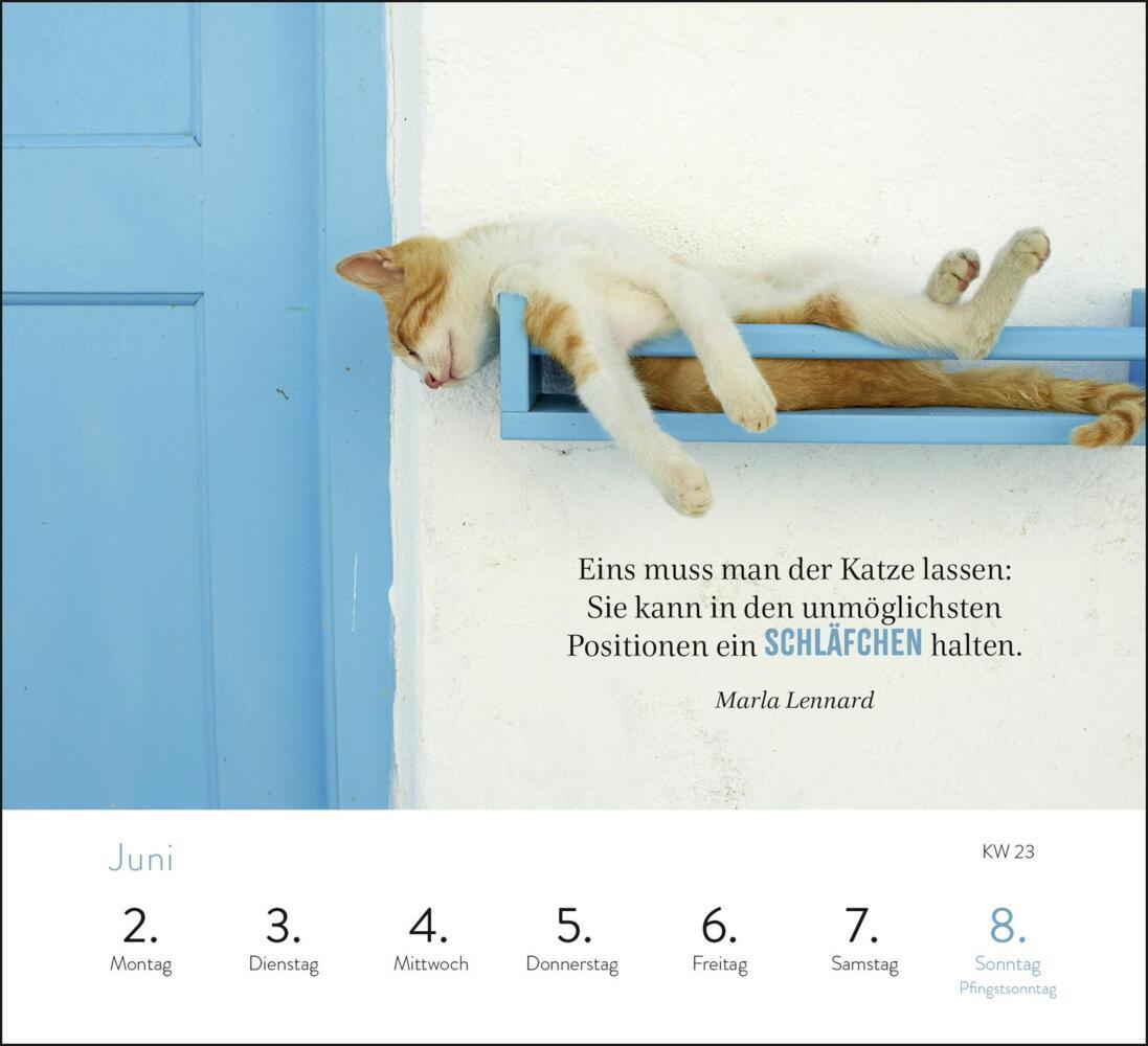 Bild: 4036442012017 | Wochenkalender 2025: Kluge Katzen | Kathrin Schmoll | Kalender | 2025