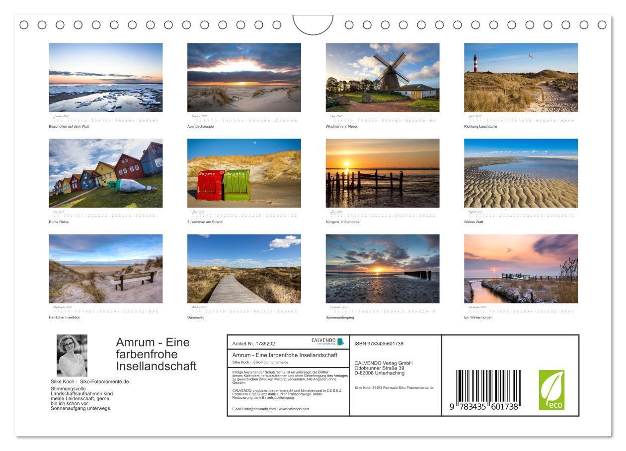 Bild: 9783435601738 | Amrum - Eine farbenfrohe Insellandschaft (Wandkalender 2025 DIN A4...