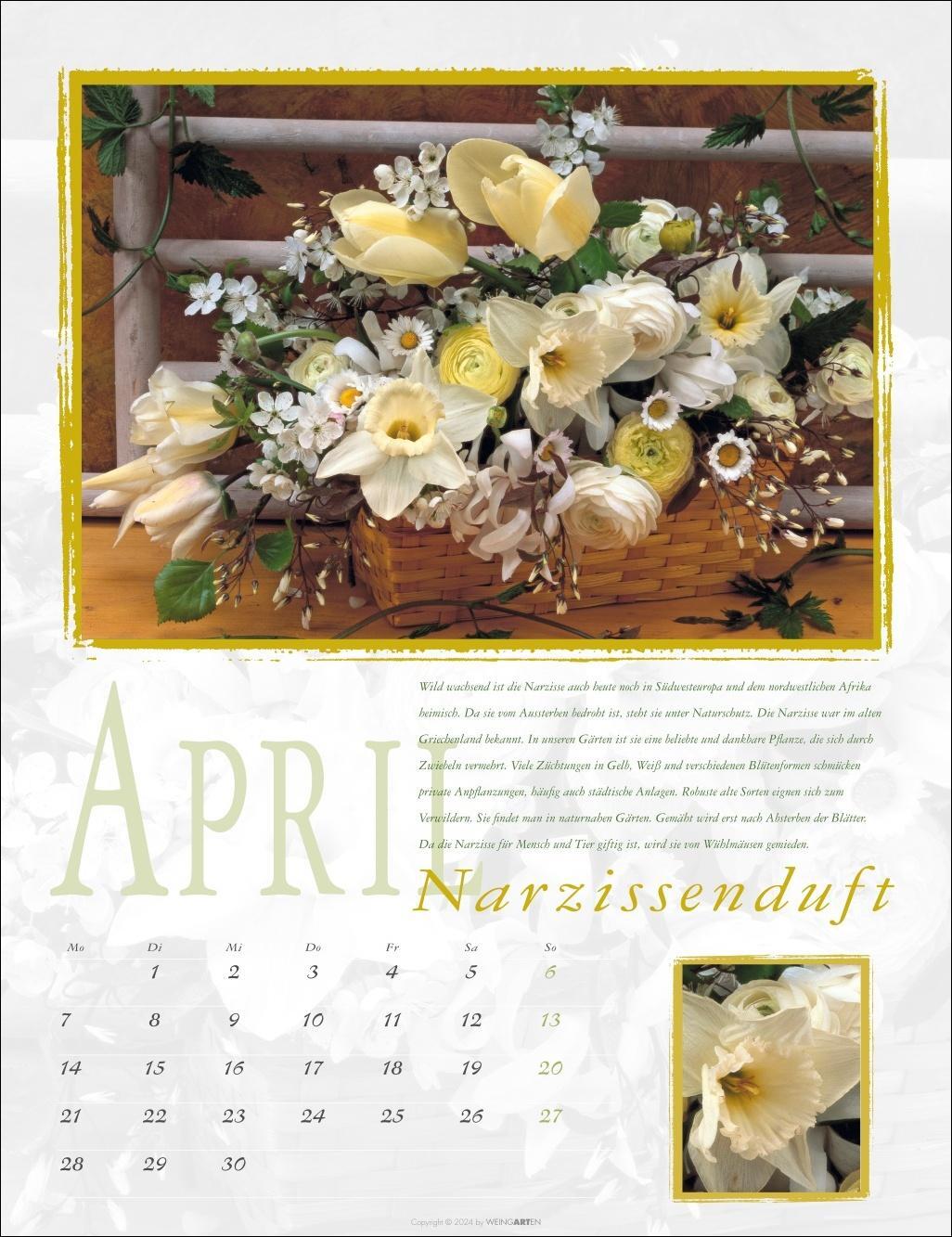 Bild: 9783839901373 | Duftkalender 2025 | Kalender | Spiralbindung | 14 S. | Deutsch | 2025