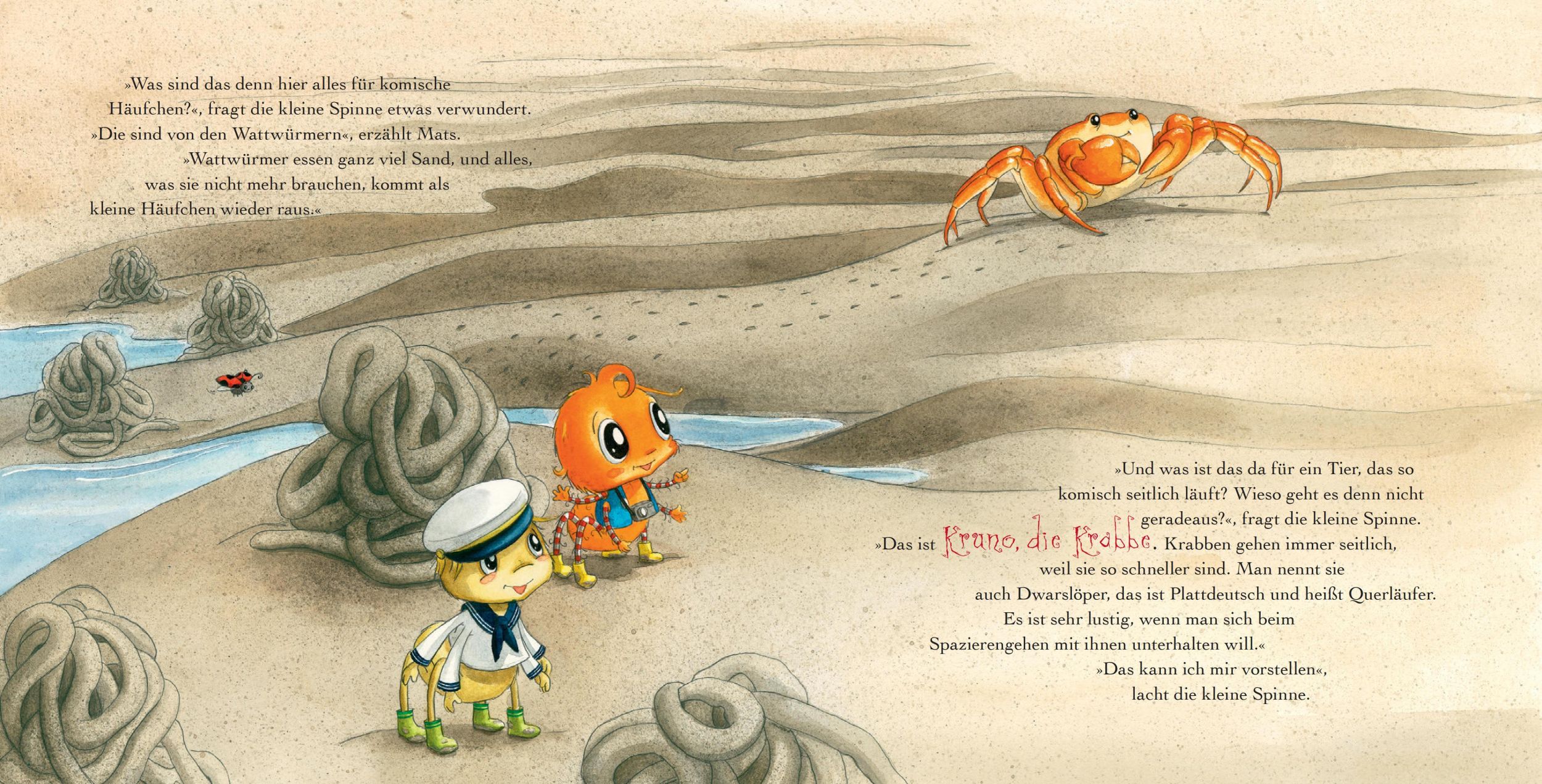 Bild: 9783833907661 | Die kleine Spinne Widerlich - Ausflug ans Meer (Pappbilderbuch) | Amft