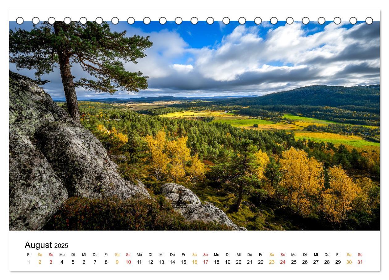 Bild: 9783457224809 | Mystik der Wälder (Tischkalender 2025 DIN A5 quer), CALVENDO...