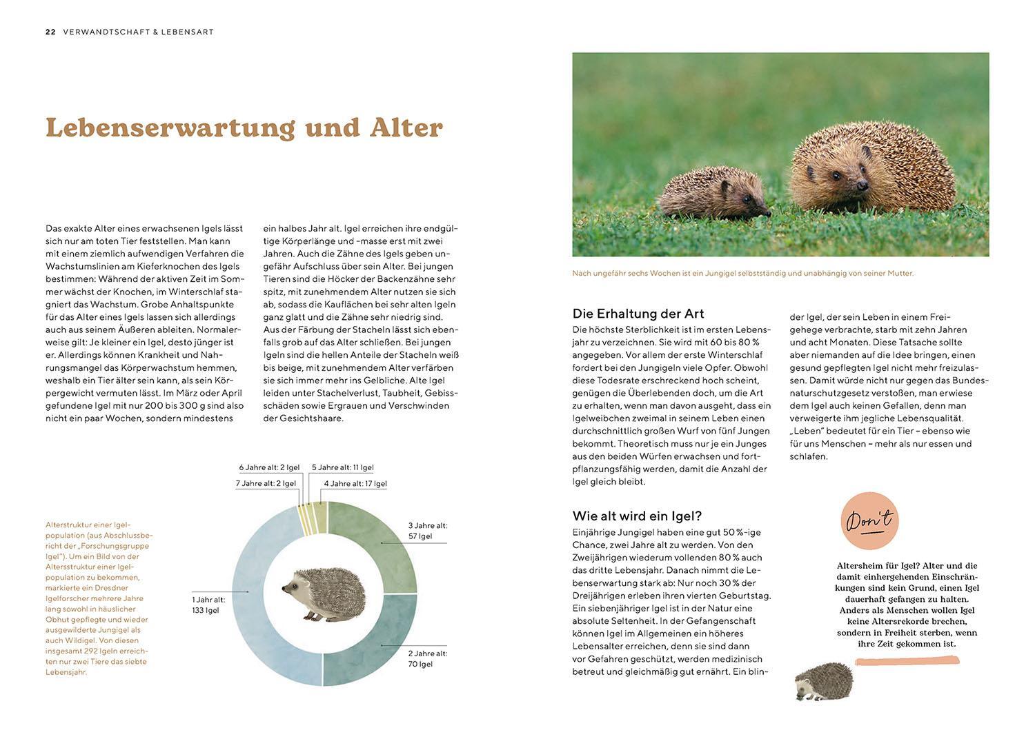 Bild: 9783440176573 | Igel im Garten | Monika Neumeier | Taschenbuch | 96 S. | Deutsch