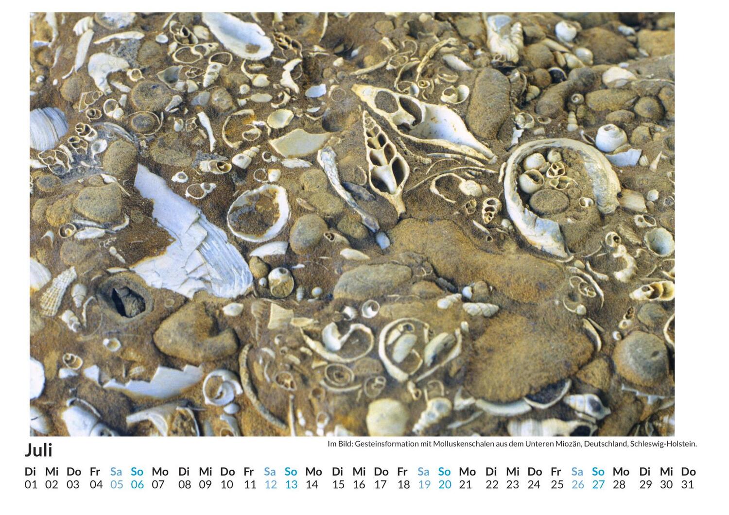 Bild: 9783759122575 | Fossilien - (Wandkalender 2025, Kalender DIN A4 quer,...