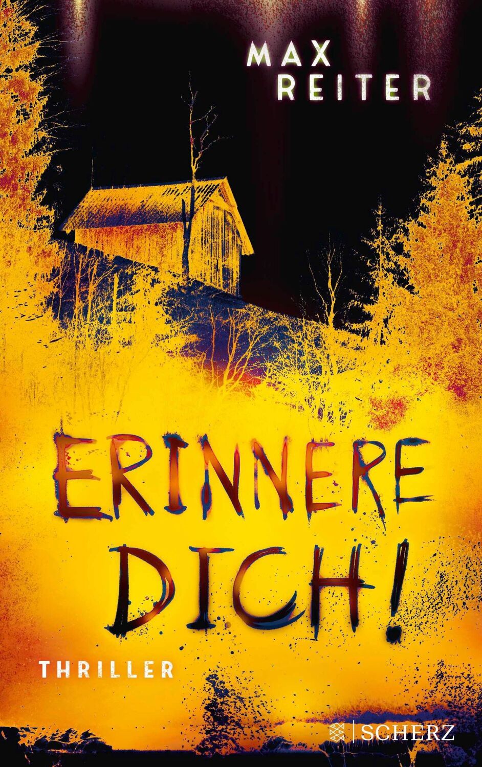 Cover: 9783651025059 | Erinnere dich! | Max Reiter | Taschenbuch | 336 S. | Deutsch | 2023