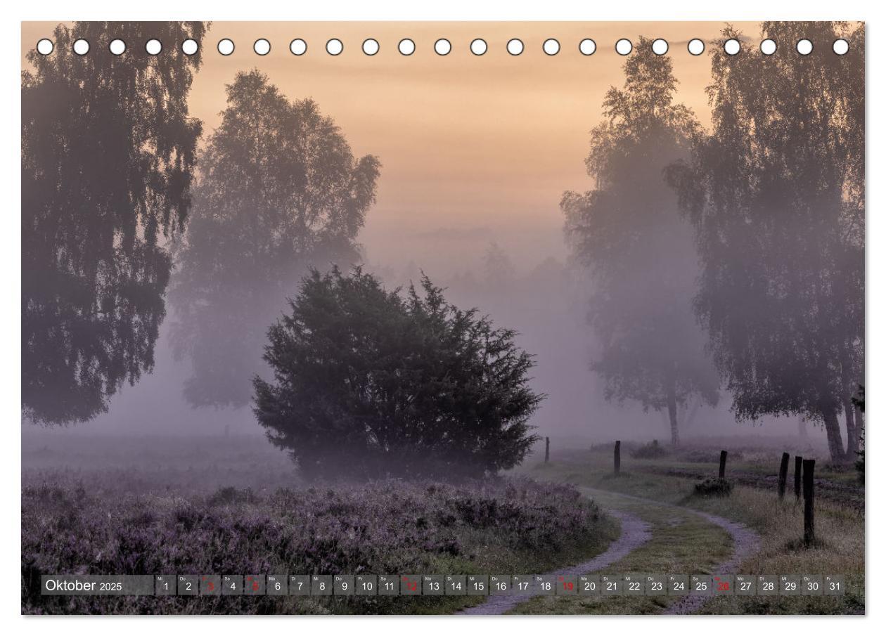 Bild: 9783383853005 | Die Lüneburger Heide - In voller Blüte (Tischkalender 2025 DIN A5...