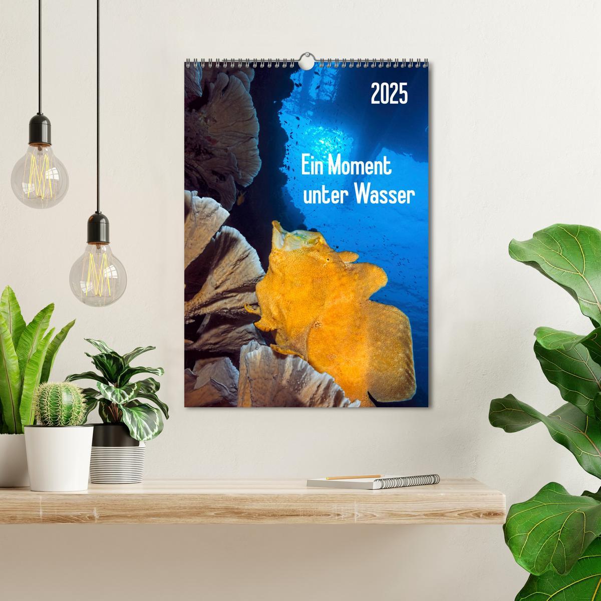 Bild: 9783457066713 | Ein Moment unter Wasser (Wandkalender 2025 DIN A3 hoch), CALVENDO...