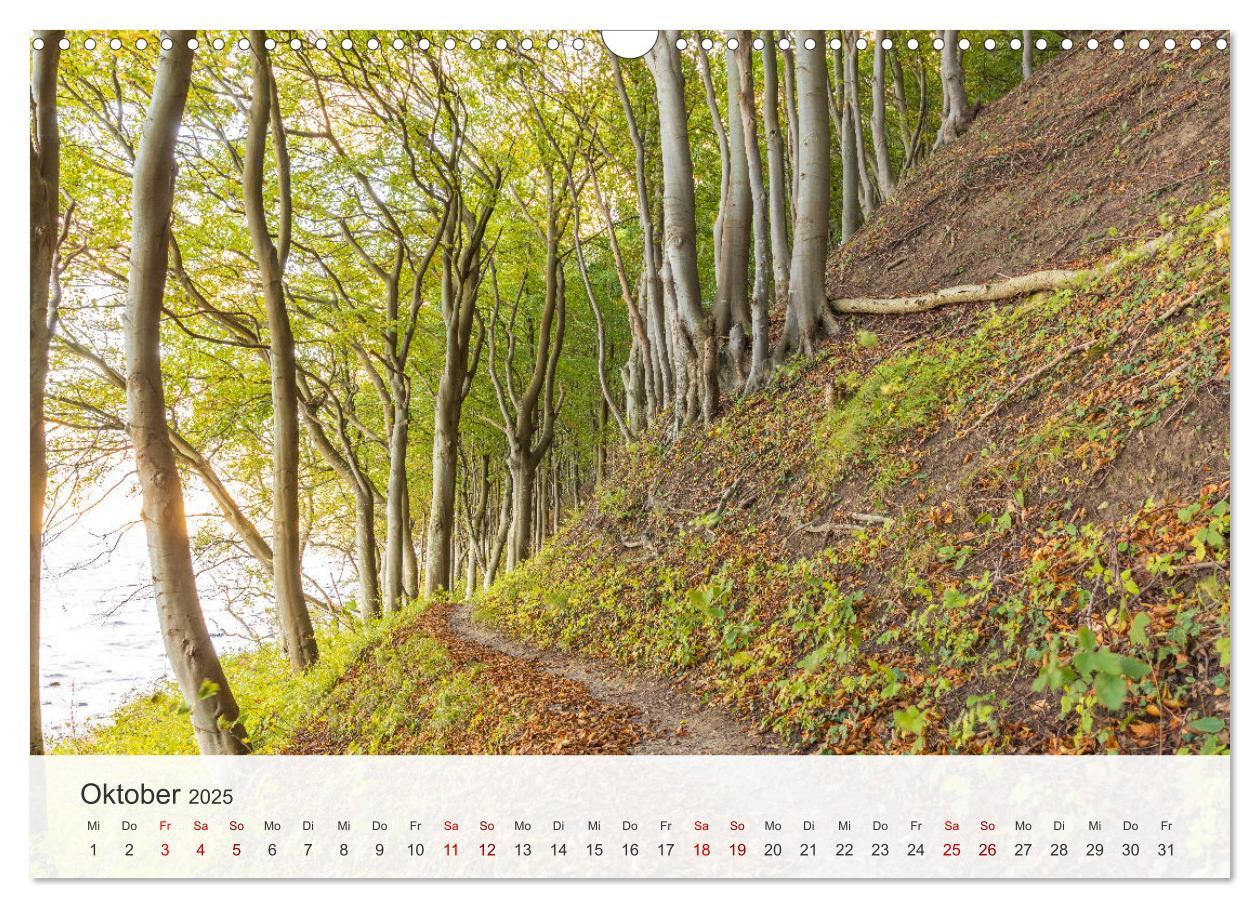 Bild: 9783435000401 | Natürliches Rügen und Hiddensee (Wandkalender 2025 DIN A3 quer),...