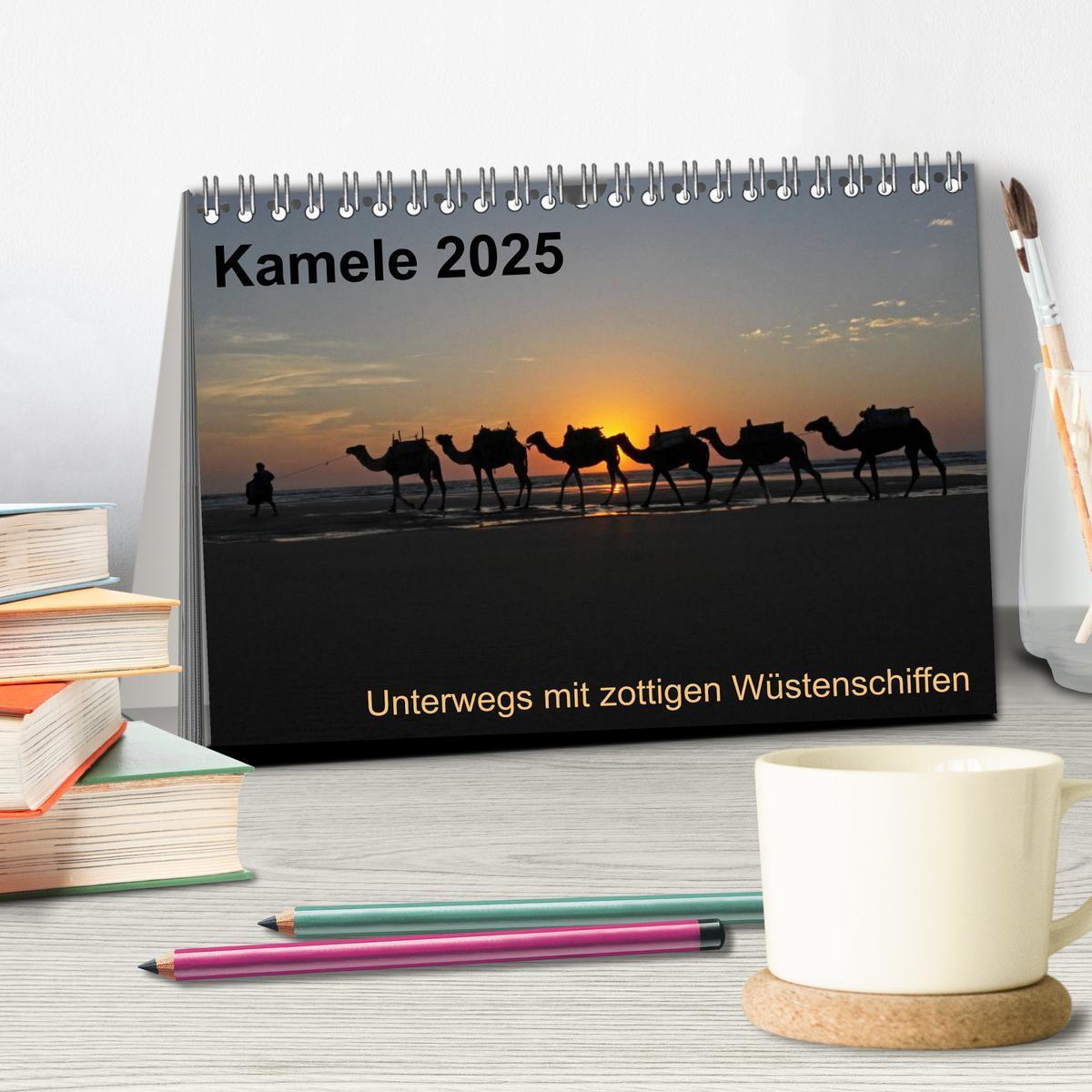 Bild: 9783435708635 | Kamele 2025 - Unterwegs mit zottigen Wüstenschiffen (Tischkalender...