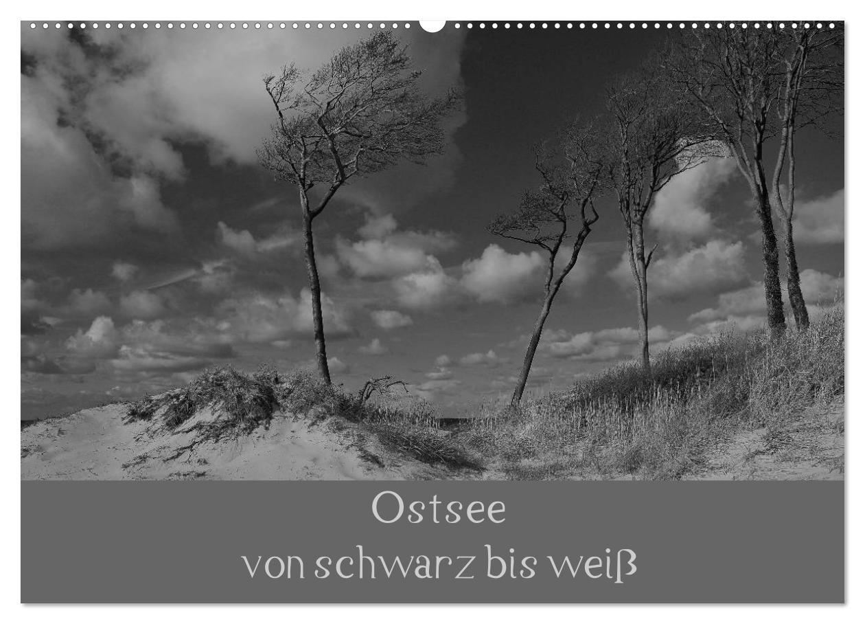 Cover: 9783435820764 | Ostsee - von schwarz bis weiß (Wandkalender 2025 DIN A2 quer),...