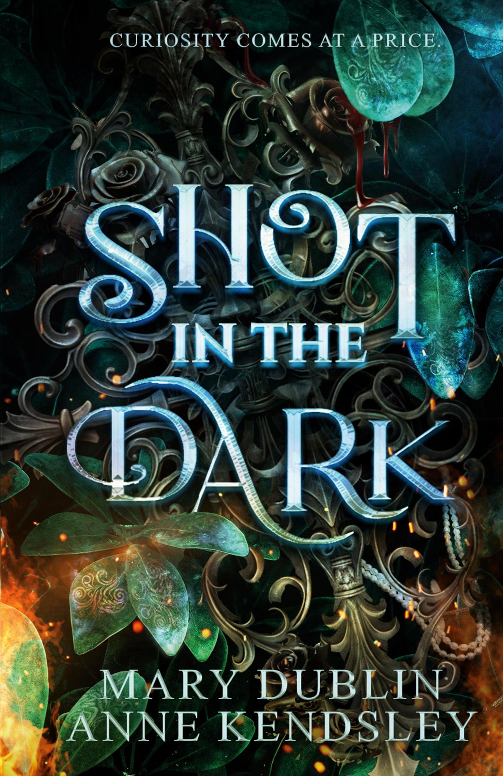 Cover: 9781963836363 | Shot in the Dark | Mary Dublin (u. a.) | Taschenbuch | Englisch | 2024