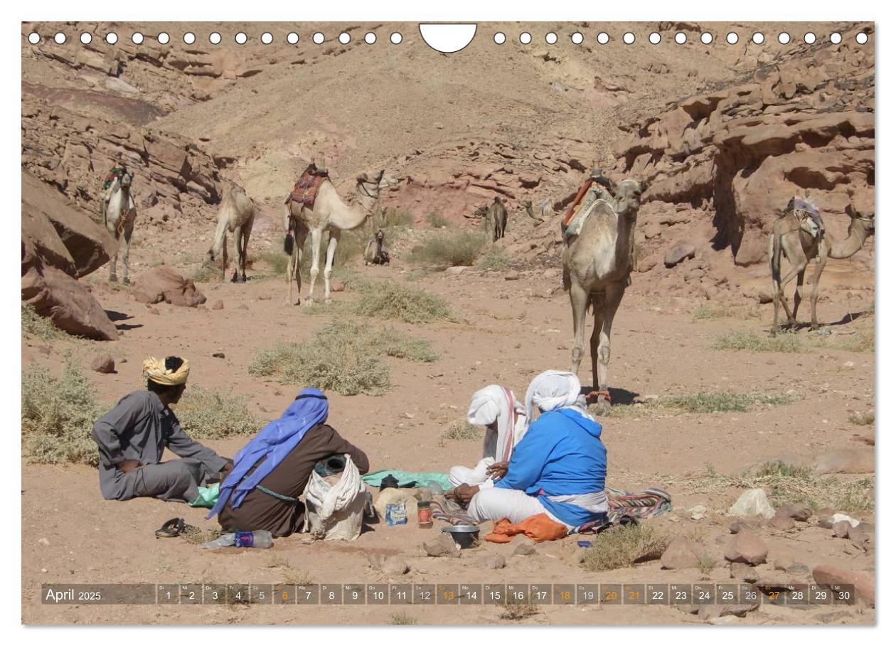 Bild: 9783435525904 | Impressionen Kameltrekking Sinai 2025 (Wandkalender 2025 DIN A4...