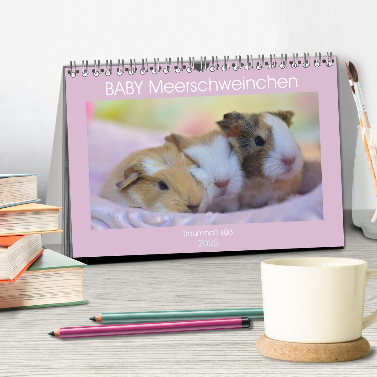 Bild: 9783435066780 | BABY Meerschweinchen Traumhaft süß (Tischkalender 2025 DIN A5...