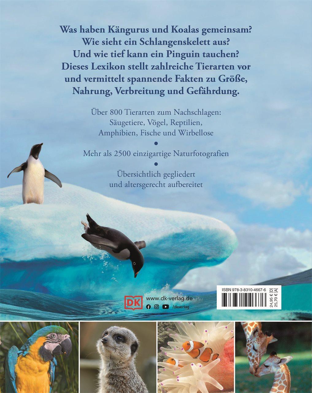 Rückseite: 9783831046676 | Wissen für clevere Kids. Tiere für clevere Kids | Buch | 304 S. | 2023