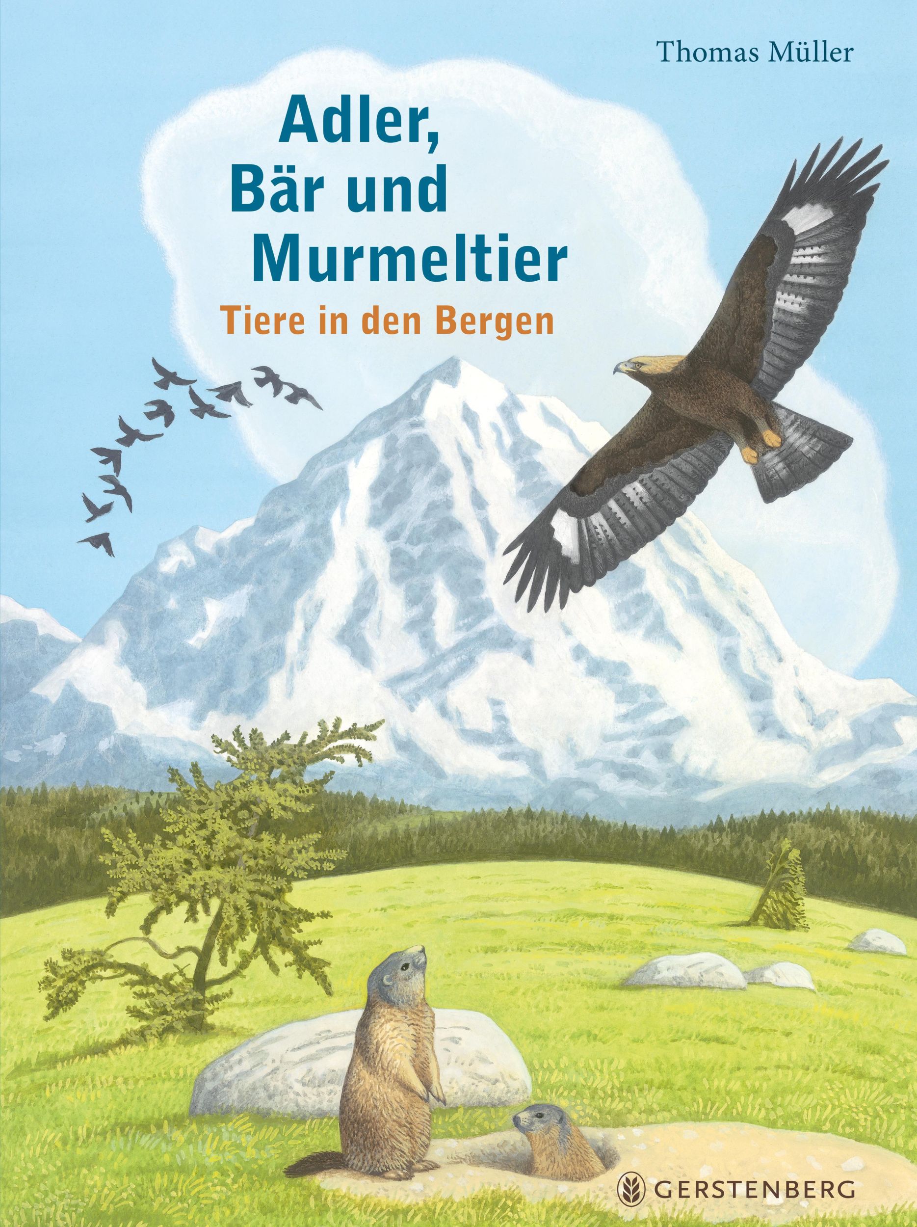 Cover: 9783836962773 | Adler, Bär und Murmeltier | Tiere in den Bergen | Thomas Müller | Buch