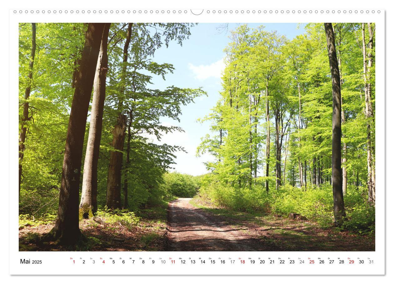 Bild: 9783435079957 | Mein Sehnsuchtsort, der heimische Wald (Wandkalender 2025 DIN A2...