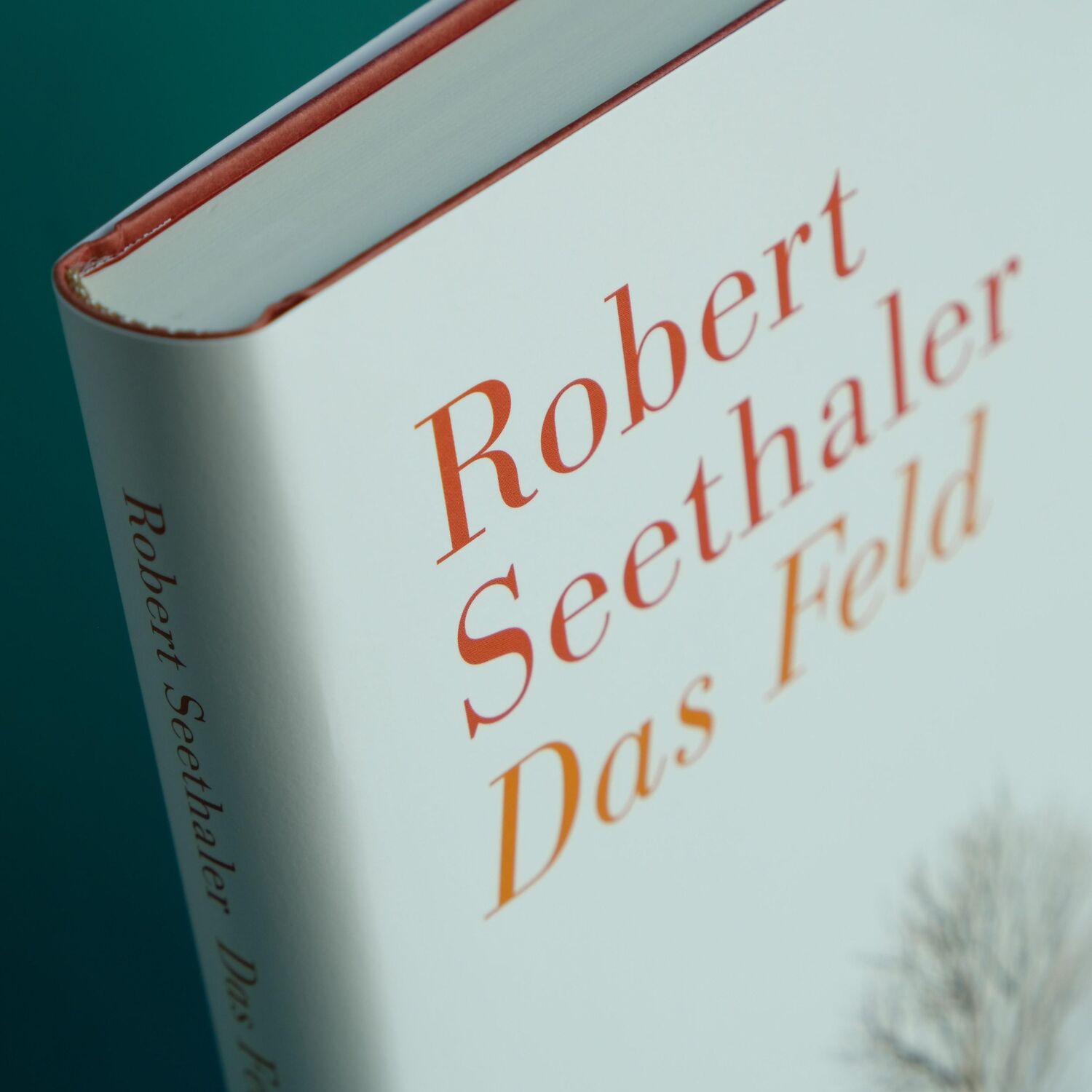 Bild: 9783446260382 | Das Feld | Robert Seethaler | Buch | 240 S. | Deutsch | 2018