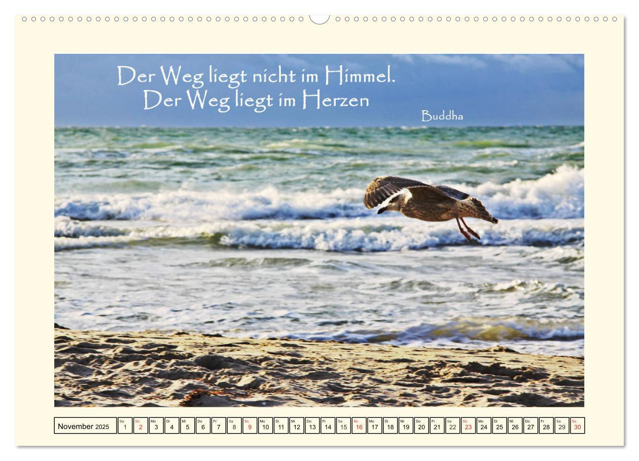 Bild: 9783435297573 | Zitate und Weisheiten (Wandkalender 2025 DIN A2 quer), CALVENDO...