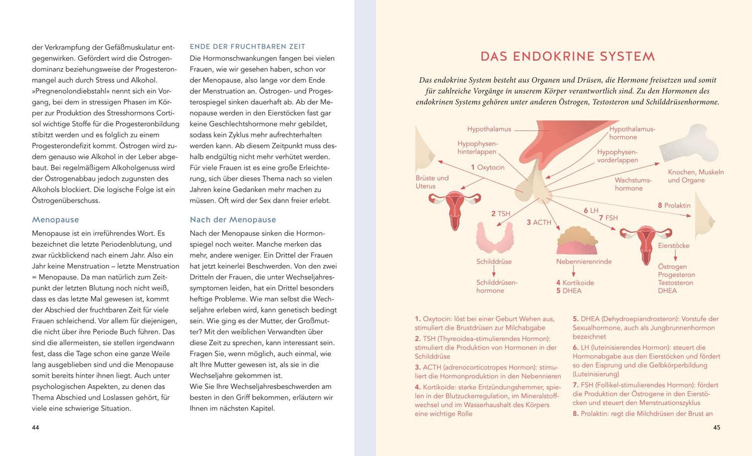 Bild: 9783833885471 | Essen Sie Ihre Hormone glücklich | Suzann Kirschner-Brouns | Buch