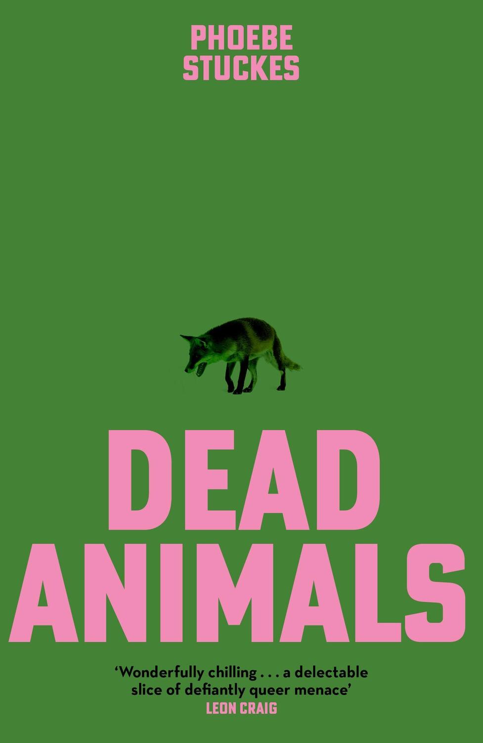 Cover: 9781399728133 | Dead Animals | Phoebe Stuckes | Buch | Englisch | 2024