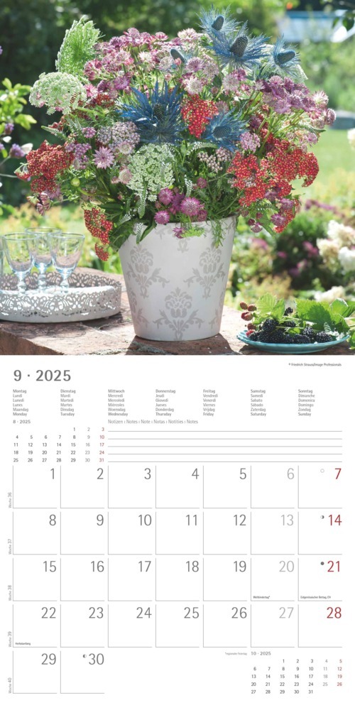 Bild: 4251732340636 | Alpha Edition - Garden &amp; Decoration 2025 Broschürenkalender,...