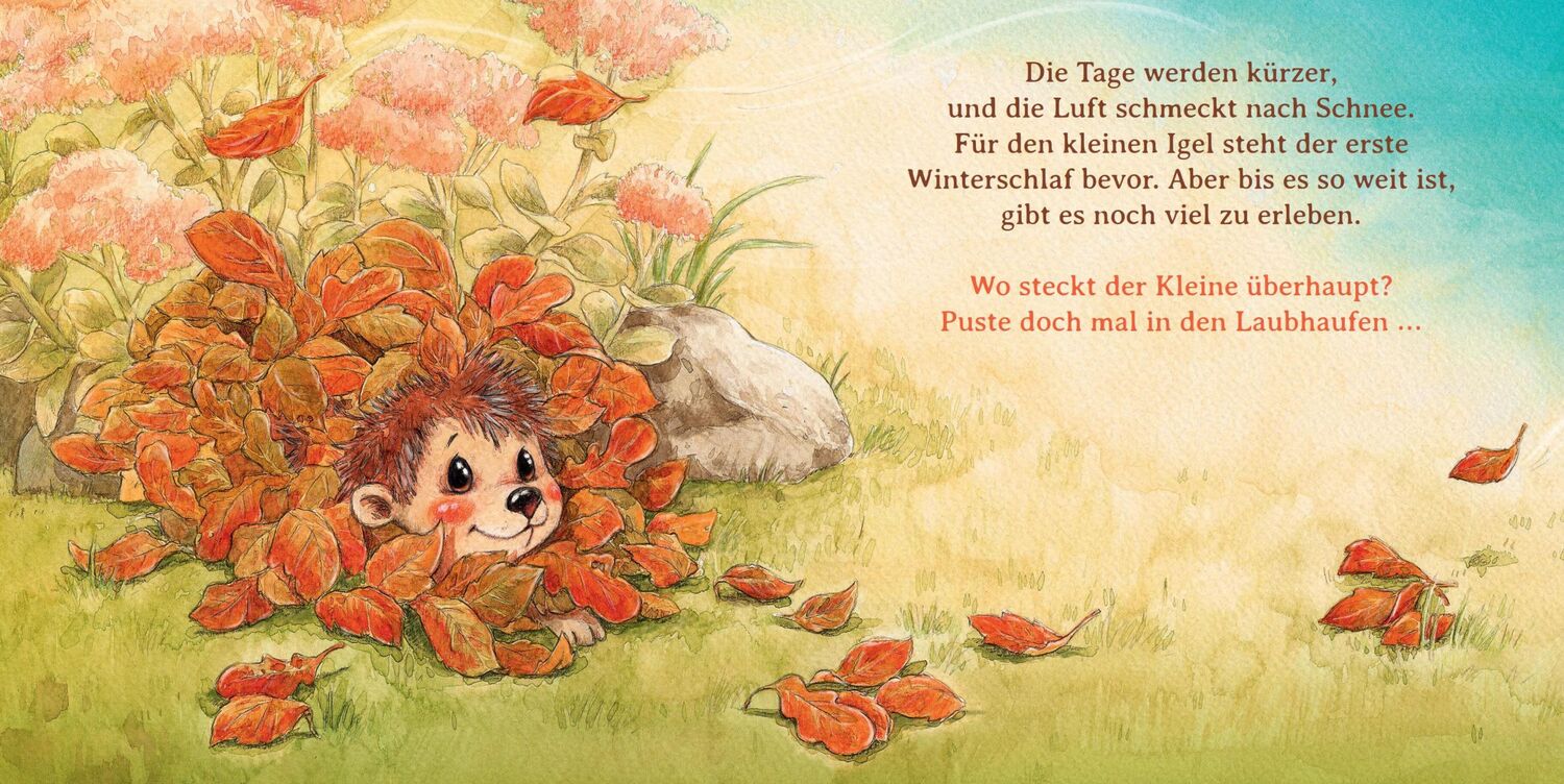 Bild: 9783414826176 | Schlaf schön, kleiner Igel (Mini-Ausgabe) | Sophie Schoenwald | Buch