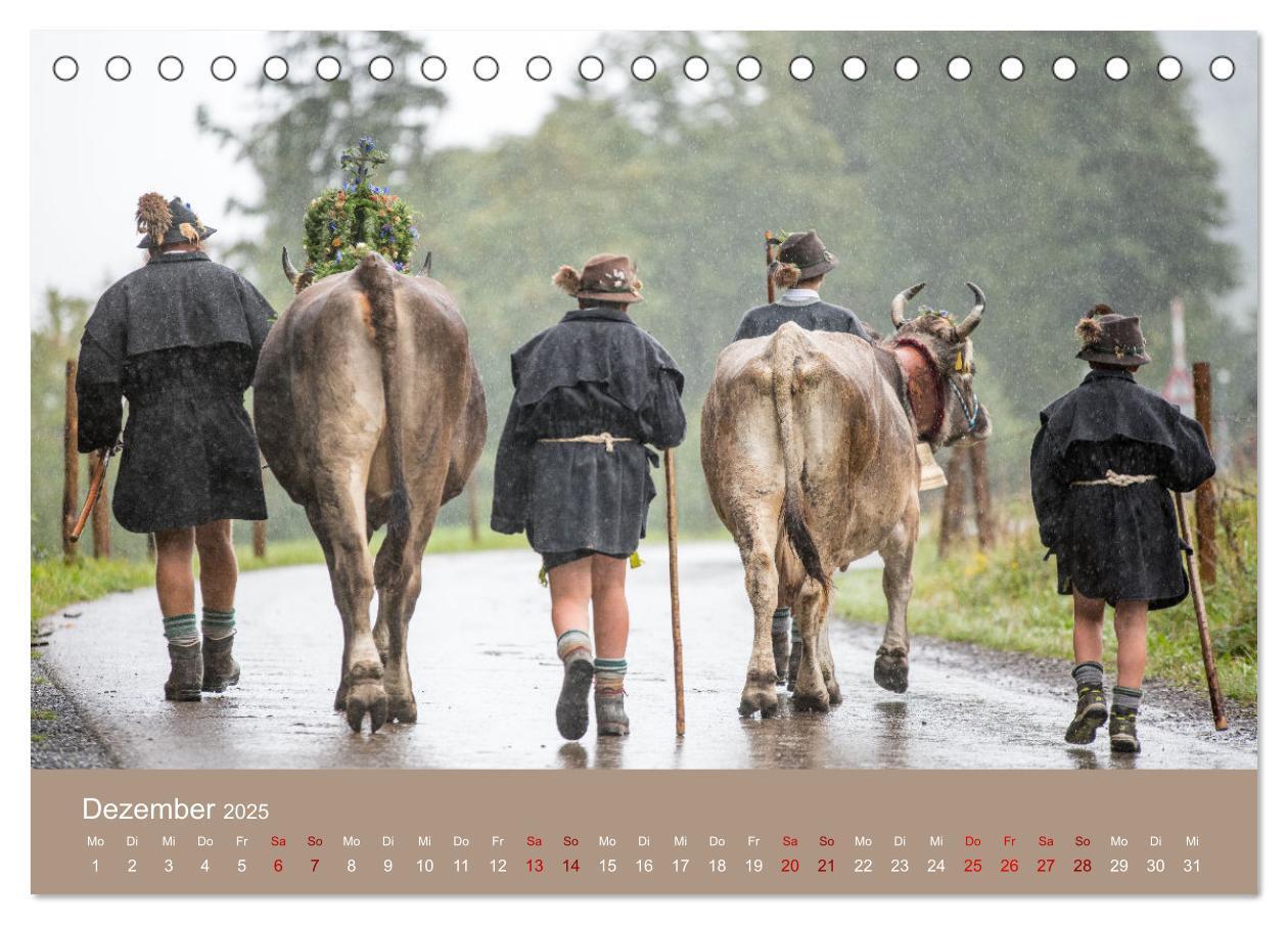 Bild: 9783383957840 | Heimweh Allgäu 2025 (Tischkalender 2025 DIN A5 quer), CALVENDO...