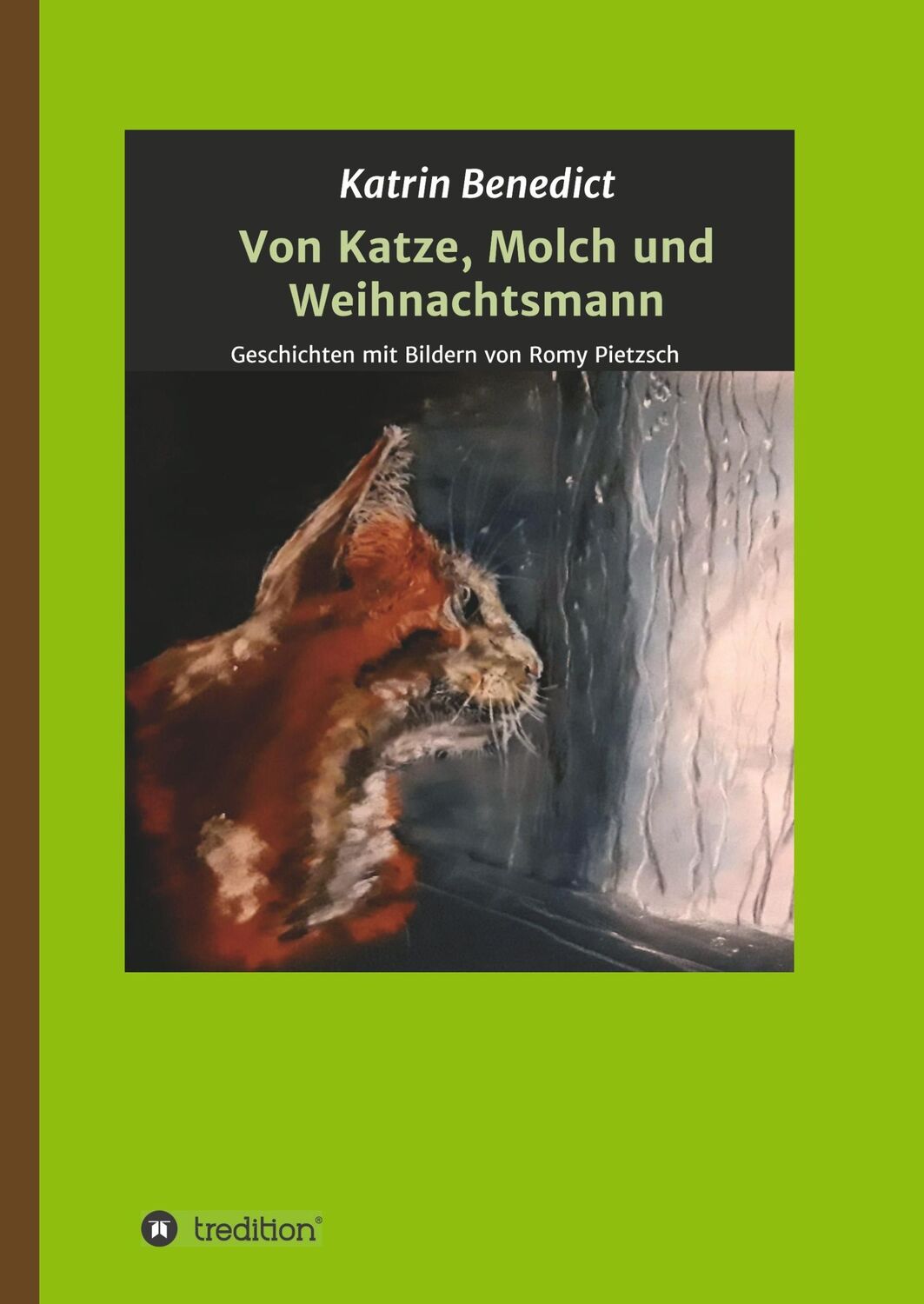 Cover: 9783749720415 | Von Katze, Molch und Weihnachtsmann | Katrin Benedict | Buch | 116 S.