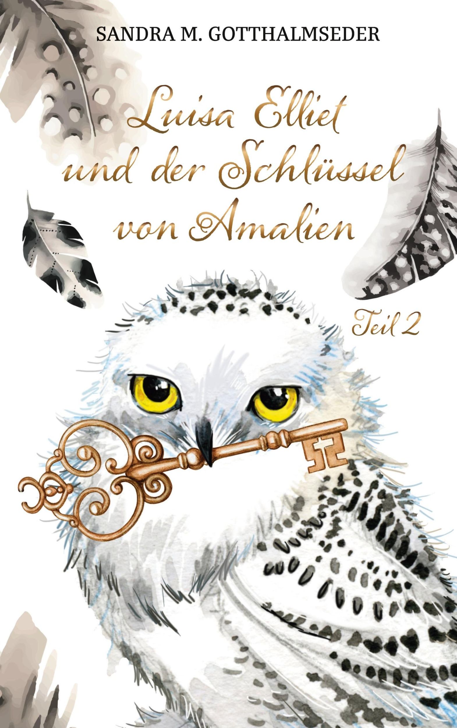 Cover: 9783753419237 | Luisa Elliet und der Schlüssel von Amalien | Sandra M. Gotthalmseder