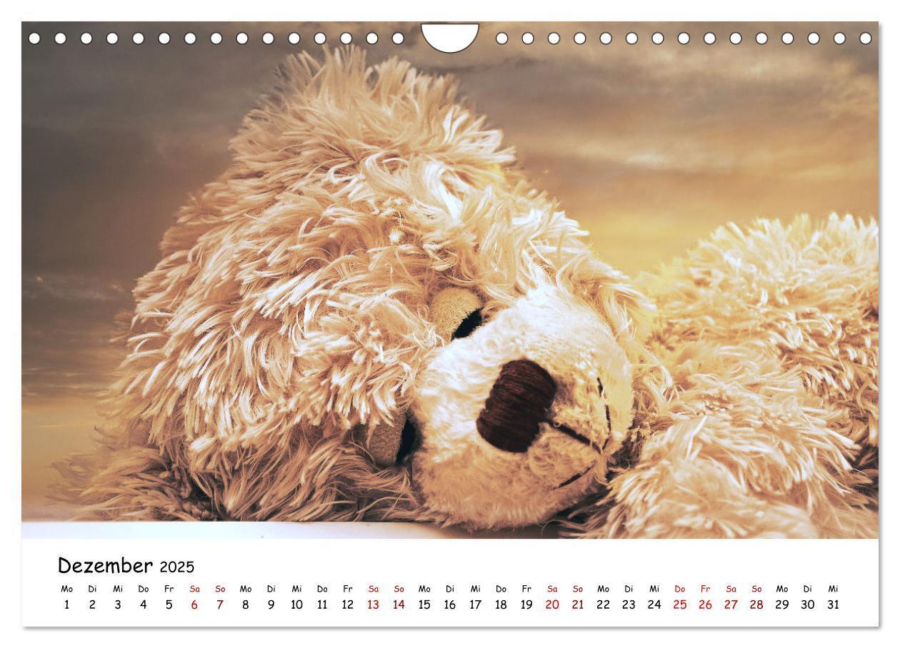 Bild: 9783383964954 | Allerliebste Teddybären (Wandkalender 2025 DIN A4 quer), CALVENDO...