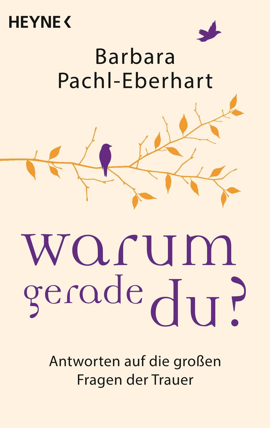 Cover: 9783453703391 | Warum gerade du? | Antworten auf die großen Fragen der Trauer | Buch