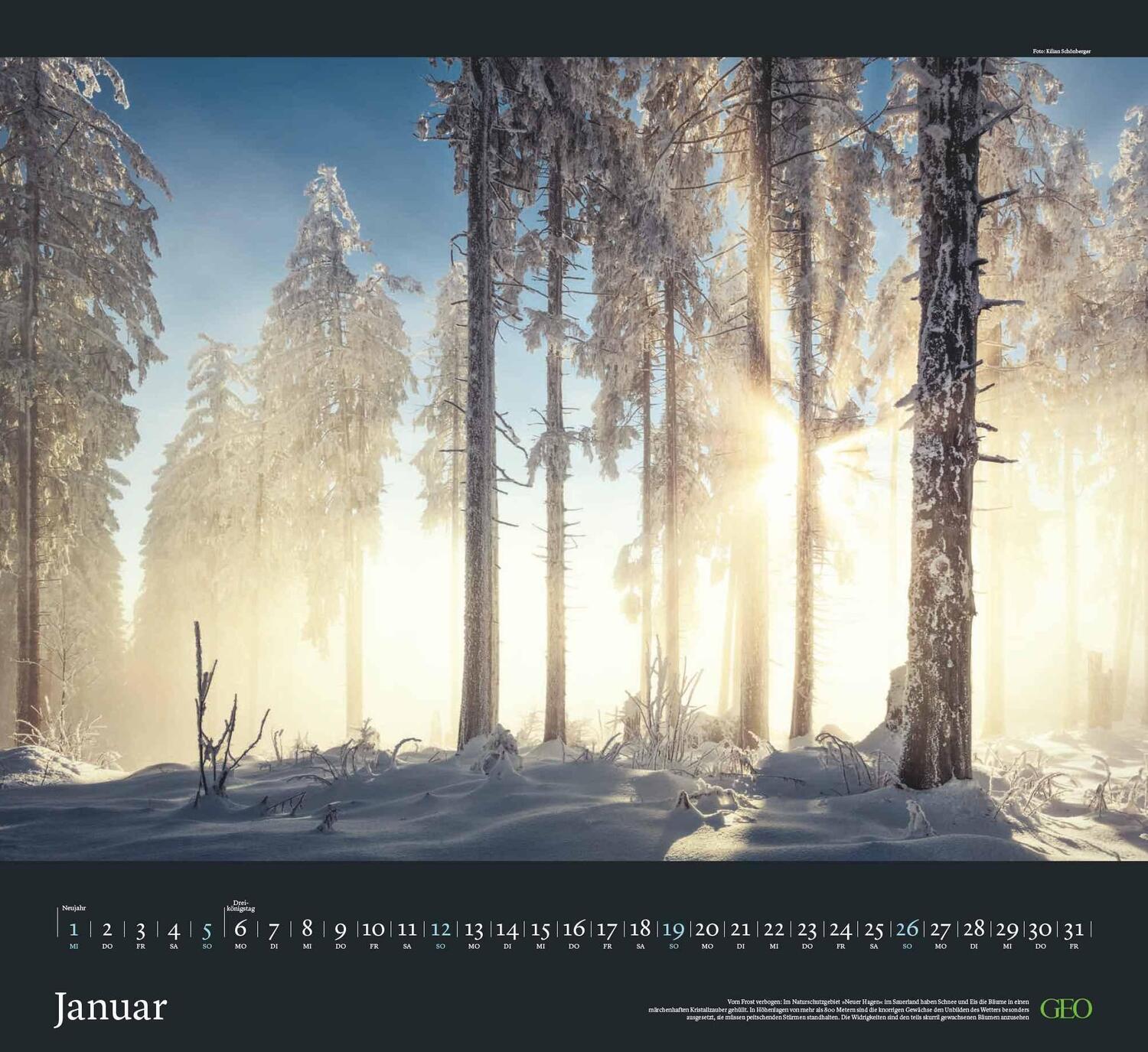 Bild: 4002725988683 | GEO Kalender: Sehnsucht Wald 2025 - Wand-Kalender - Natur-Kalender...