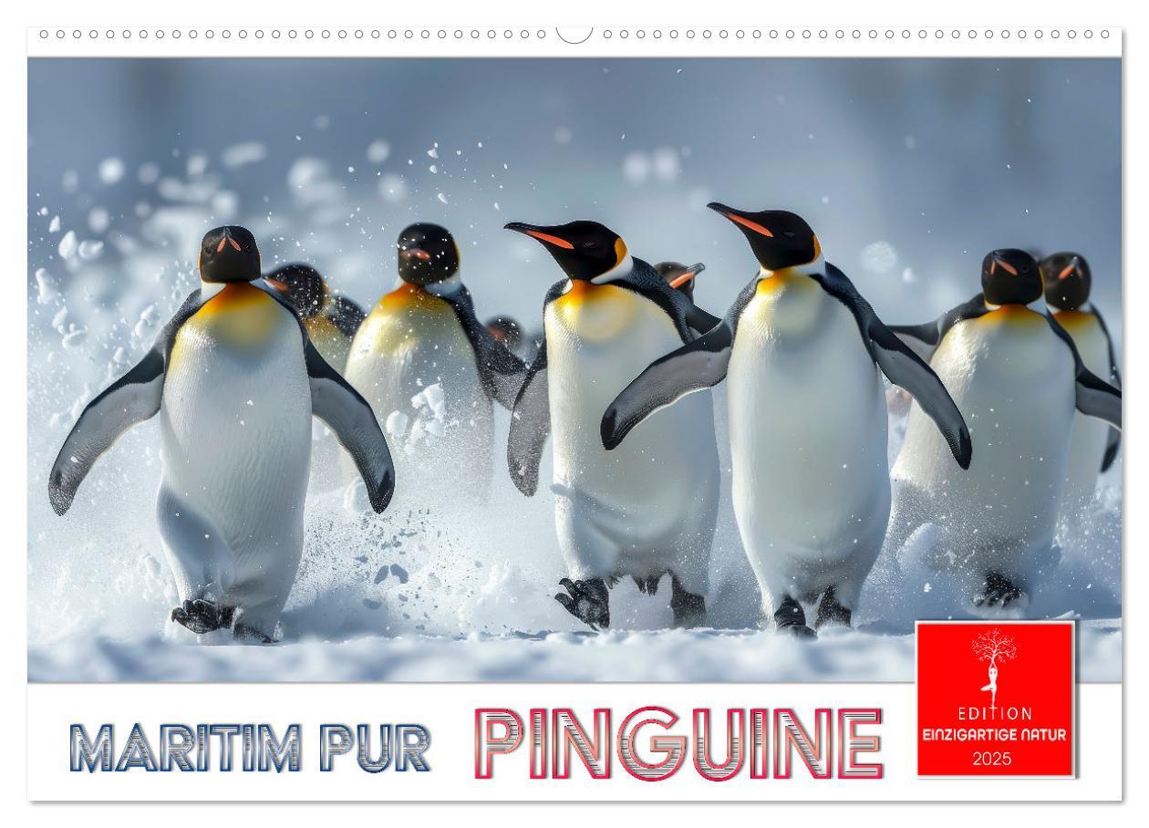 Cover: 9783457164440 | Maritim pur - Pinguine (Wandkalender 2025 DIN A2 quer), CALVENDO...