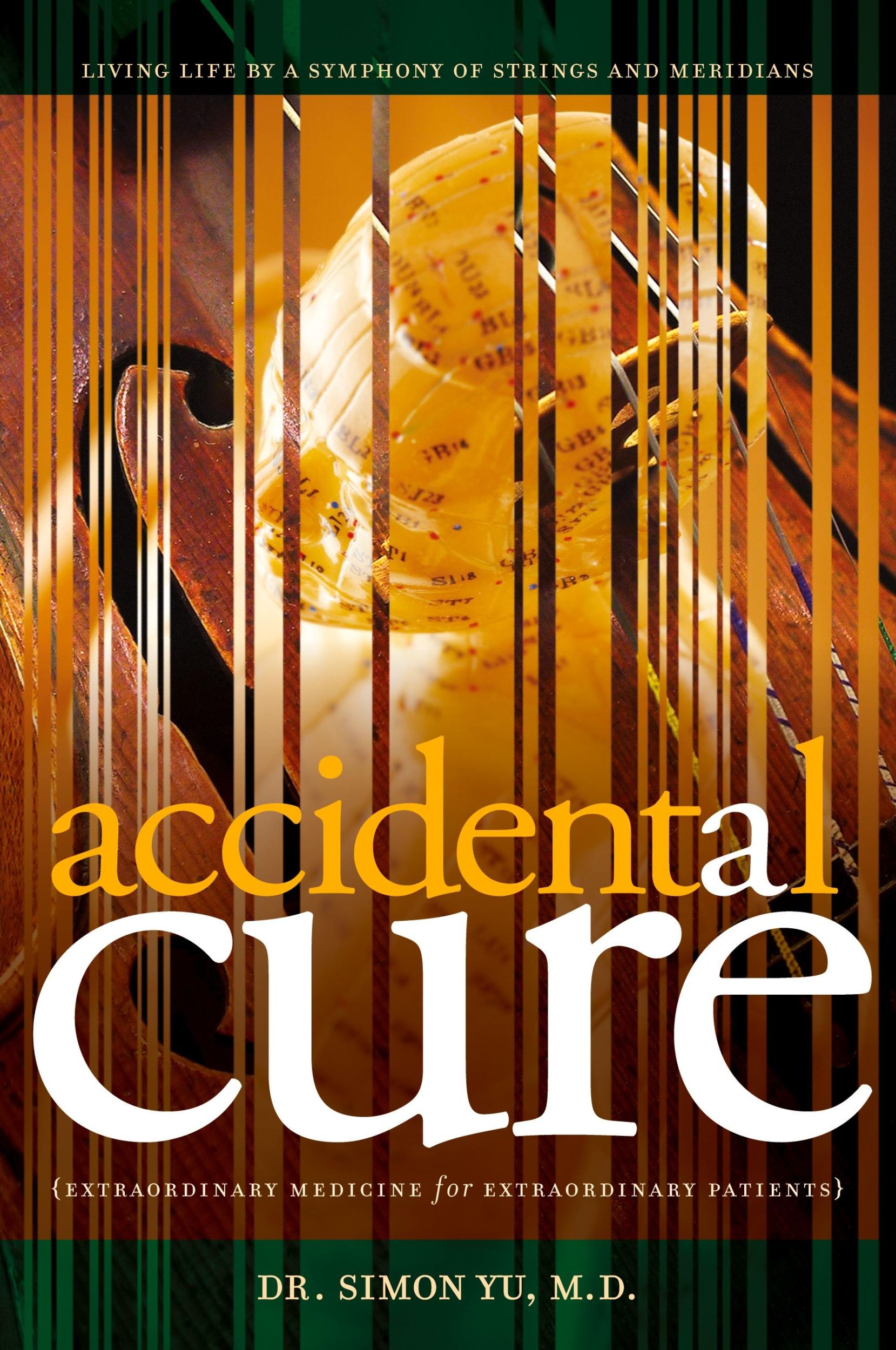 Cover: 9780979734267 | Accidental Cure | Extraordinary Medicine for Extraordinary Patients