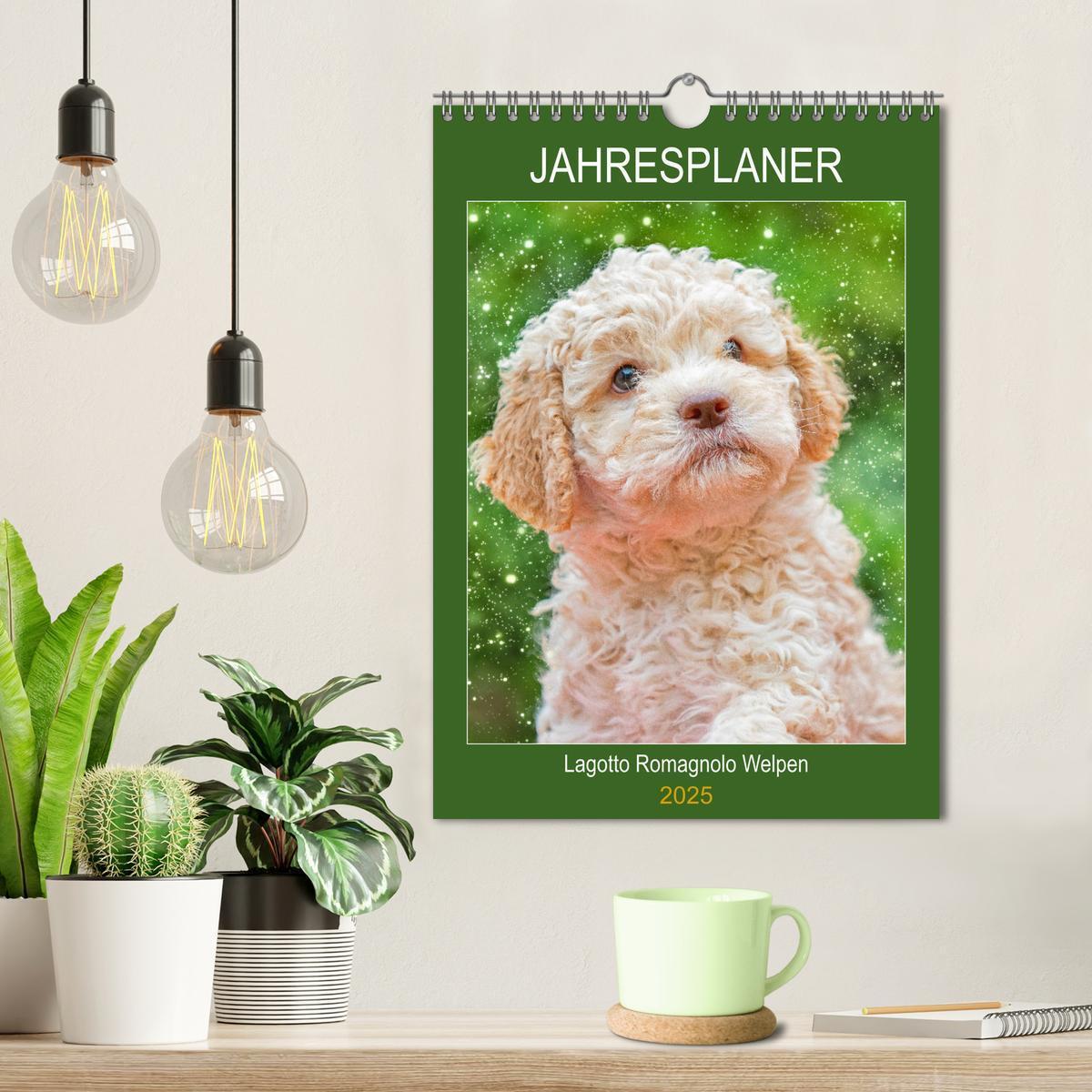 Bild: 9783435952618 | Jahresplaner Lagotto Romagnolo Welpen (Wandkalender 2025 DIN A4...