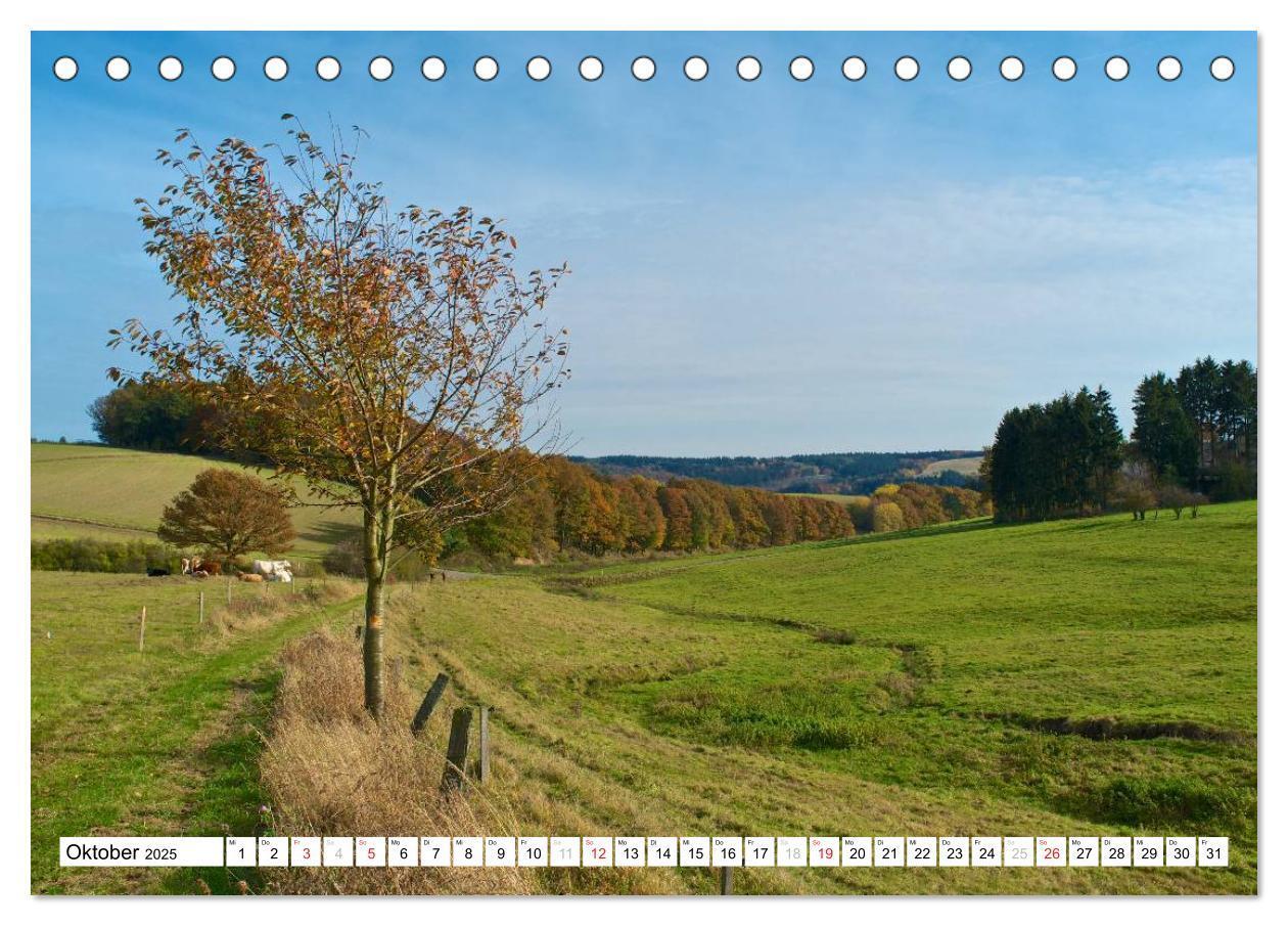 Bild: 9783435792849 | Traumhafte Wege durch die Eifel (Tischkalender 2025 DIN A5 quer),...