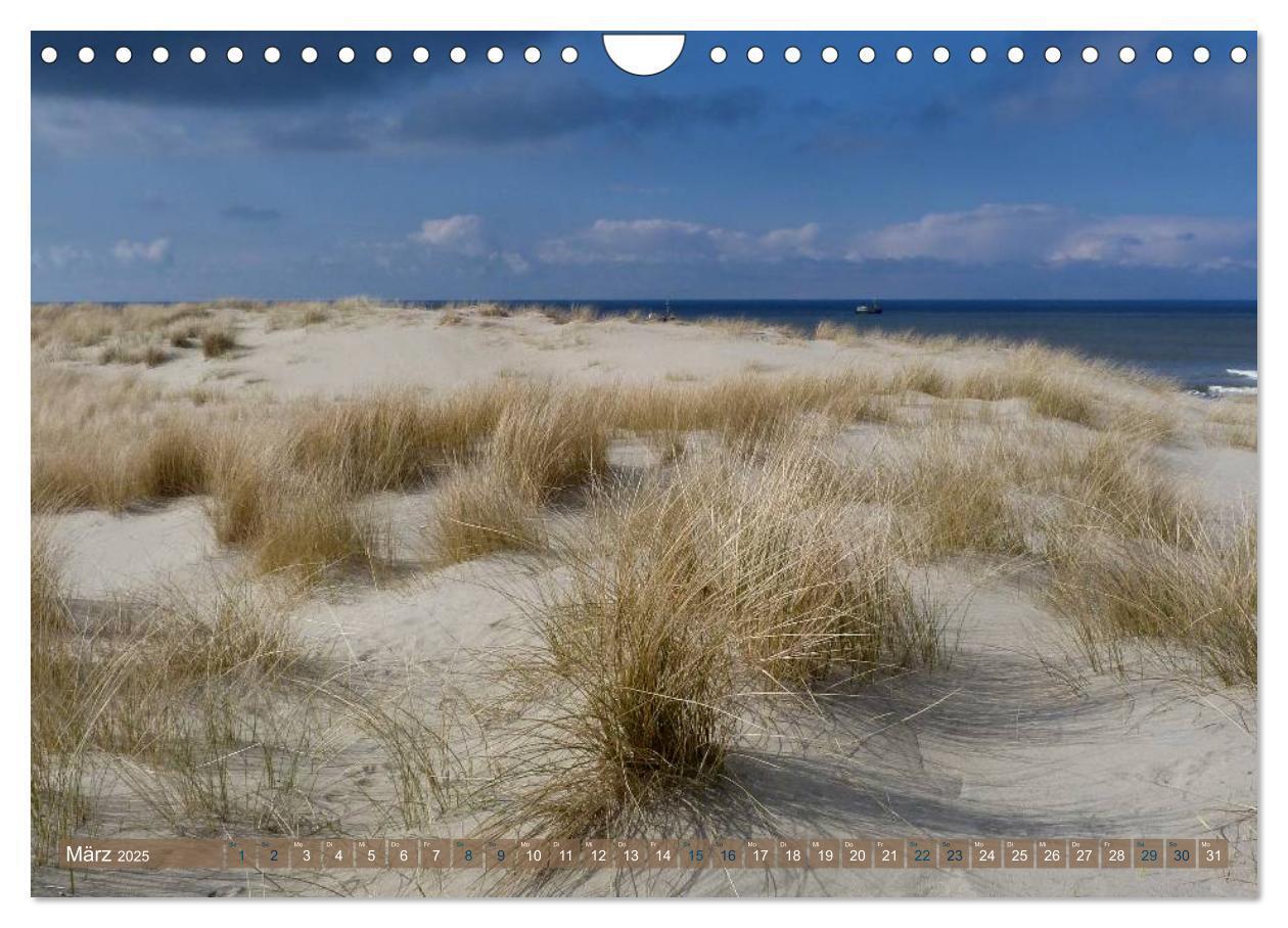 Bild: 9783435763597 | Strandwanderungen auf Texel (Wandkalender 2025 DIN A4 quer),...