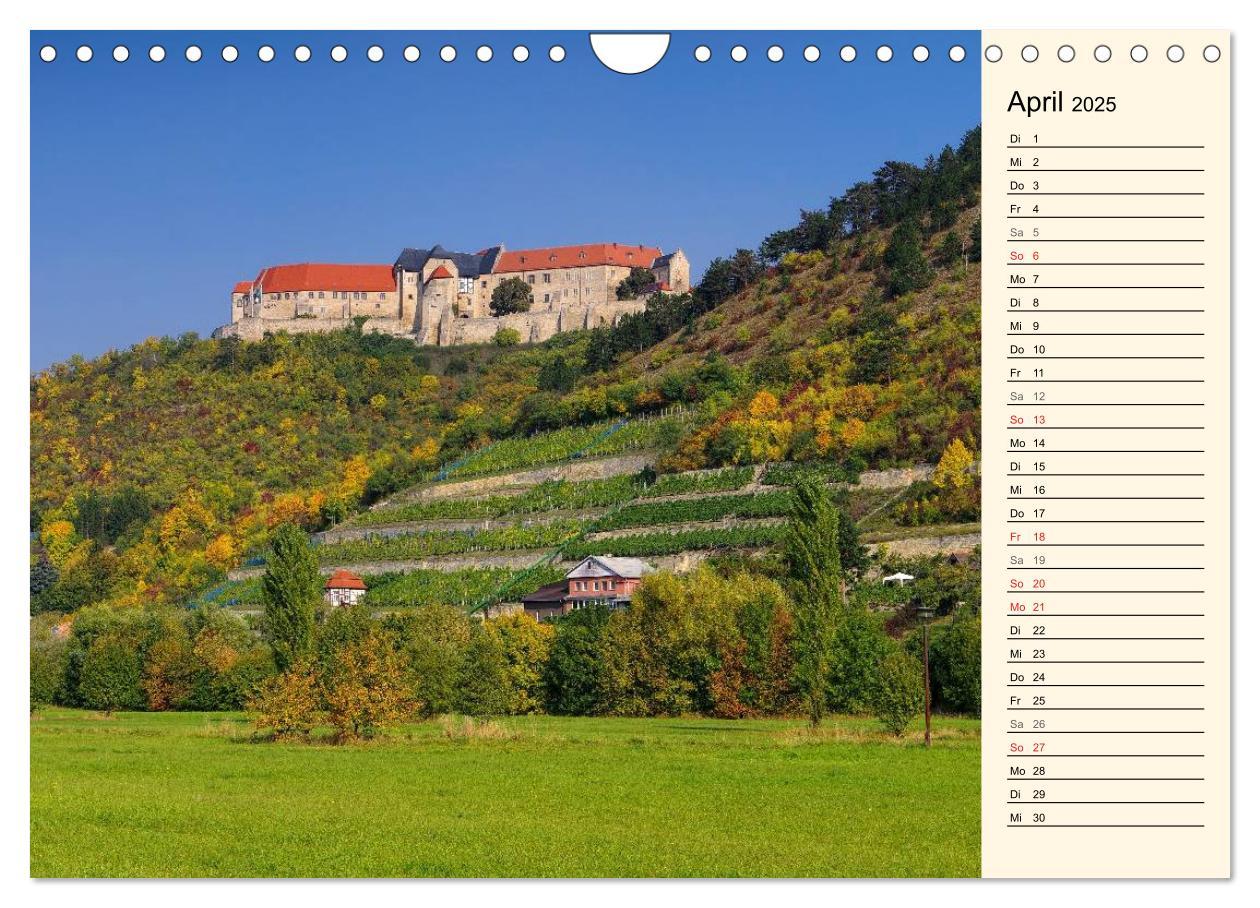 Bild: 9783435508006 | Saale-Unstrut - Region aus Wein und Stein (Wandkalender 2025 DIN A4...