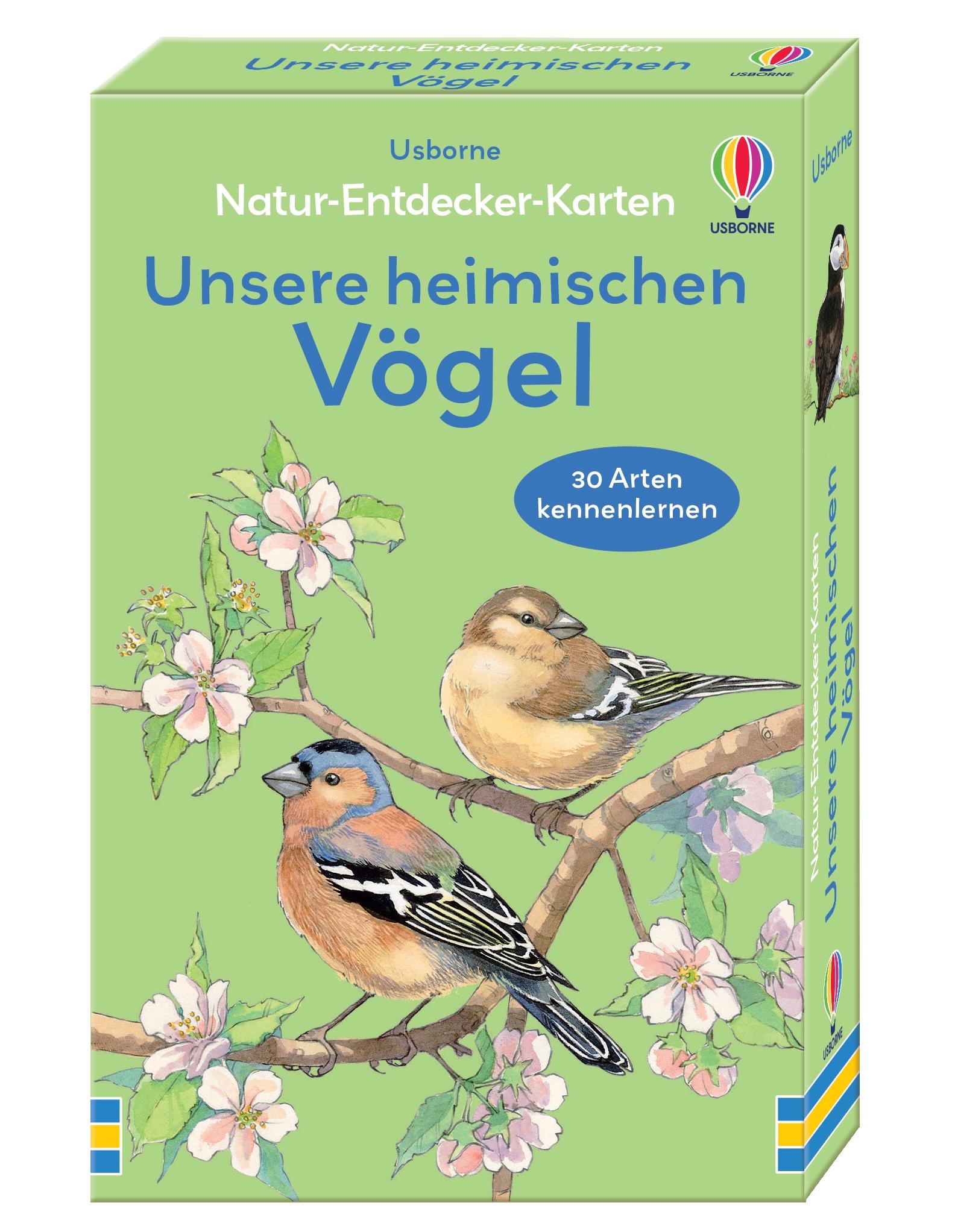 Cover: 9781035703302 | Natur-Entdecker-Karten: Unsere heimischen Vögel | Emily Bone | Buch