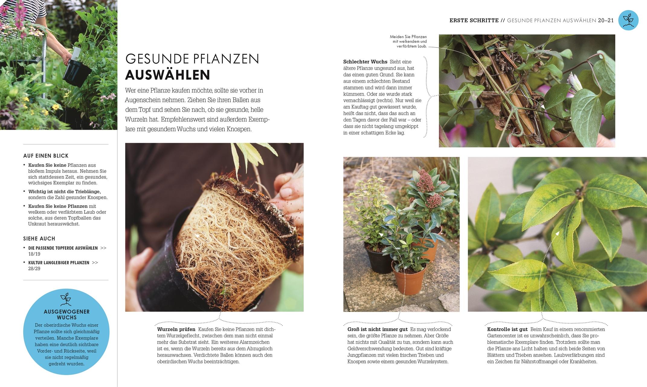 Bild: 9783831049950 | So geht Garten | DK Verlag | Buch | 256 S. | Deutsch | 2025