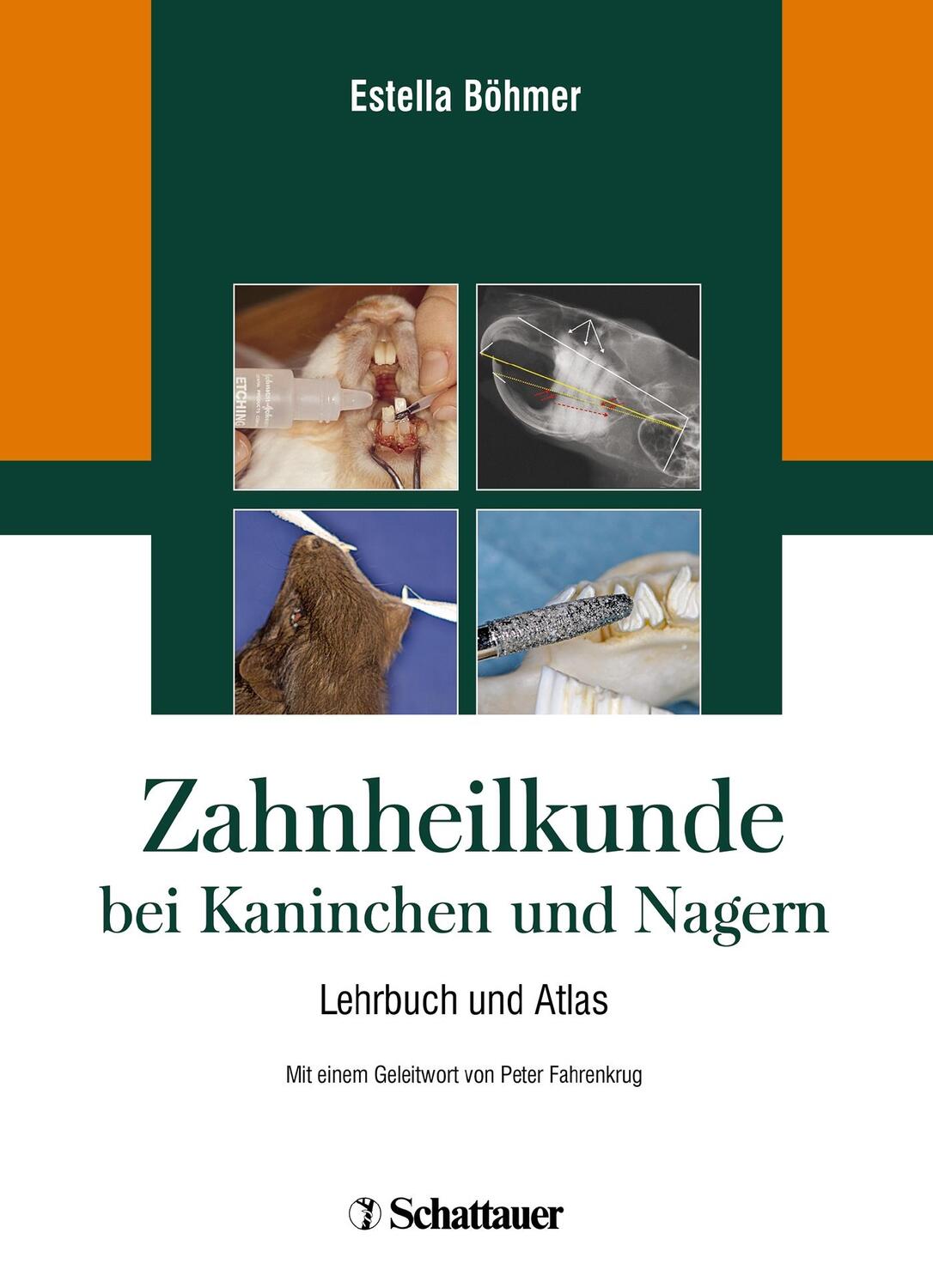 Cover: 9783794527519 | Zahnheilkunde bei Kaninchen und Nagern | Leitfaden für die Praxis