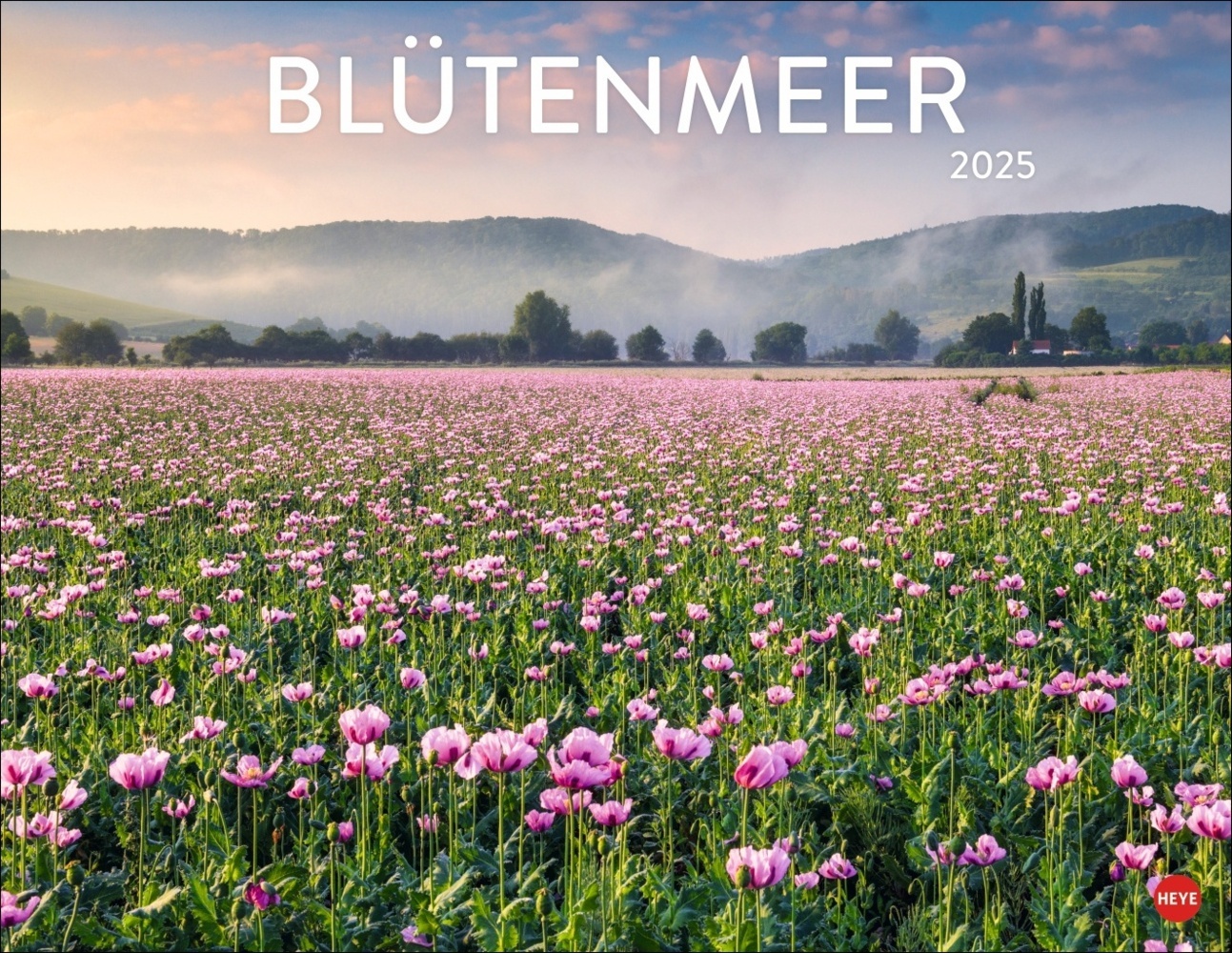 Cover: 9783756405084 | Blütenmeer Posterkalender 2025 | Kalender | Spiralbindung | 14 S.