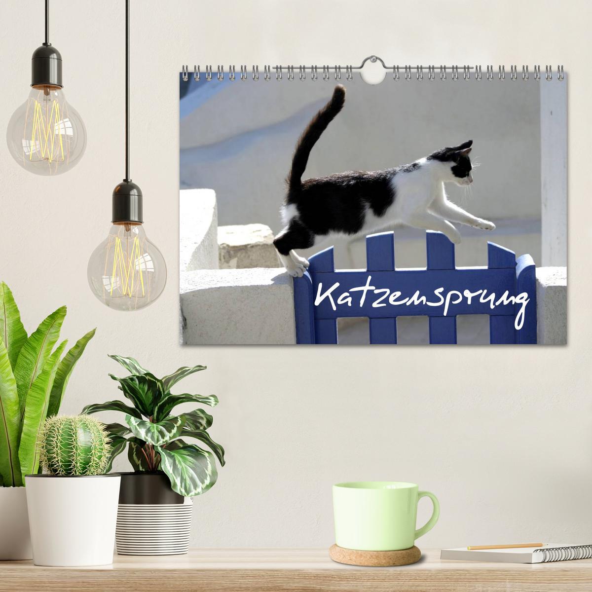 Bild: 9783435684069 | Katzensprung (Wandkalender 2025 DIN A4 quer), CALVENDO Monatskalender