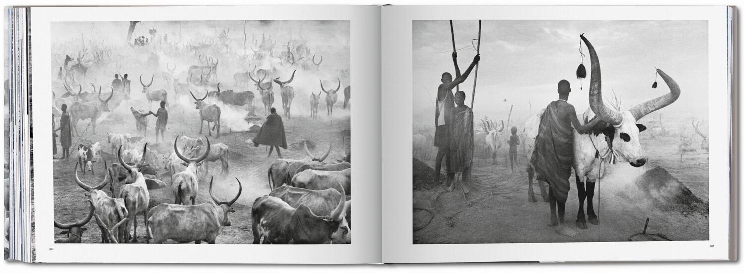 Bild: 9783822856215 | Sebastião Salgado. Africa | Mia Couto | Buch | 336 S. | Deutsch | 2007