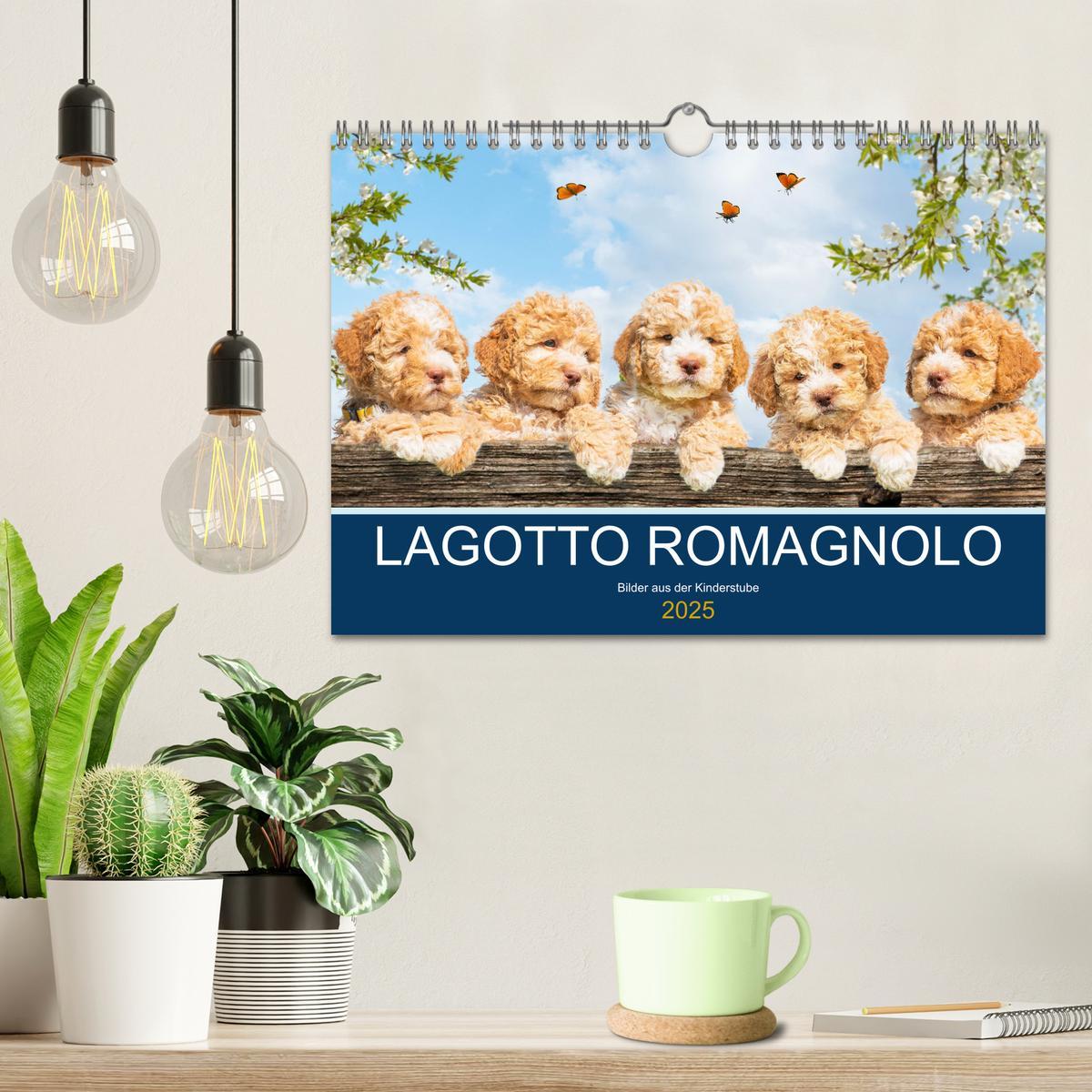 Bild: 9783435028580 | Lagotto Romagnolo - Bilder aus der Kinderstube (Wandkalender 2025...