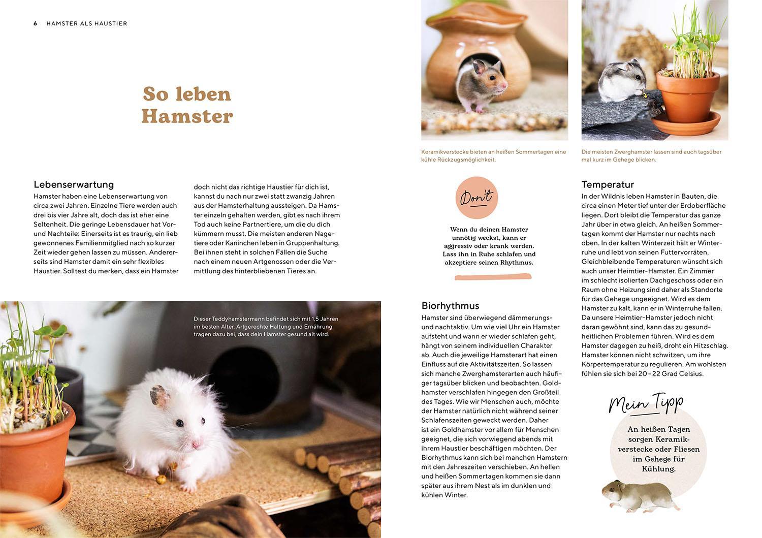 Bild: 9783440178546 | Hamster | Saskia Rößner | Taschenbuch | Mein Tier | 96 S. | Deutsch