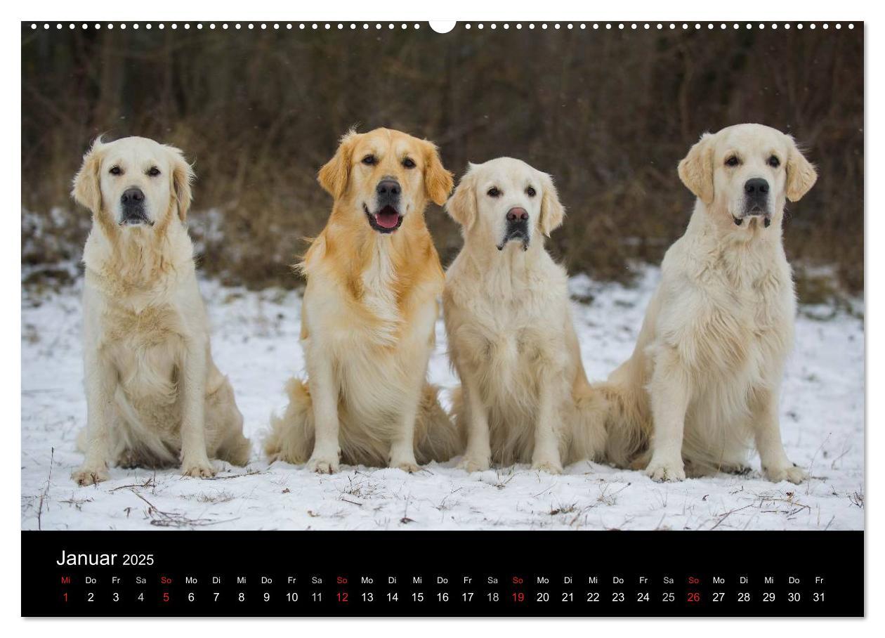 Bild: 9783435797387 | Golden Retriever - Ein Herz auf 4 Pfoten (hochwertiger Premium...