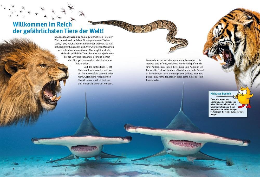 Bild: 9783866595101 | Entdecke die gefährlichsten Tiere | Kriton Kunz | Buch | 64 S. | 2024