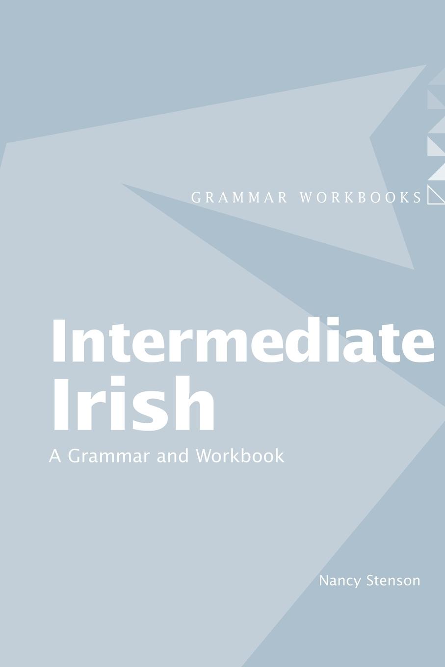 Cover: 9780415410427 | Intermediate Irish | A Grammar and Workbook | Nancy Stenson | Buch