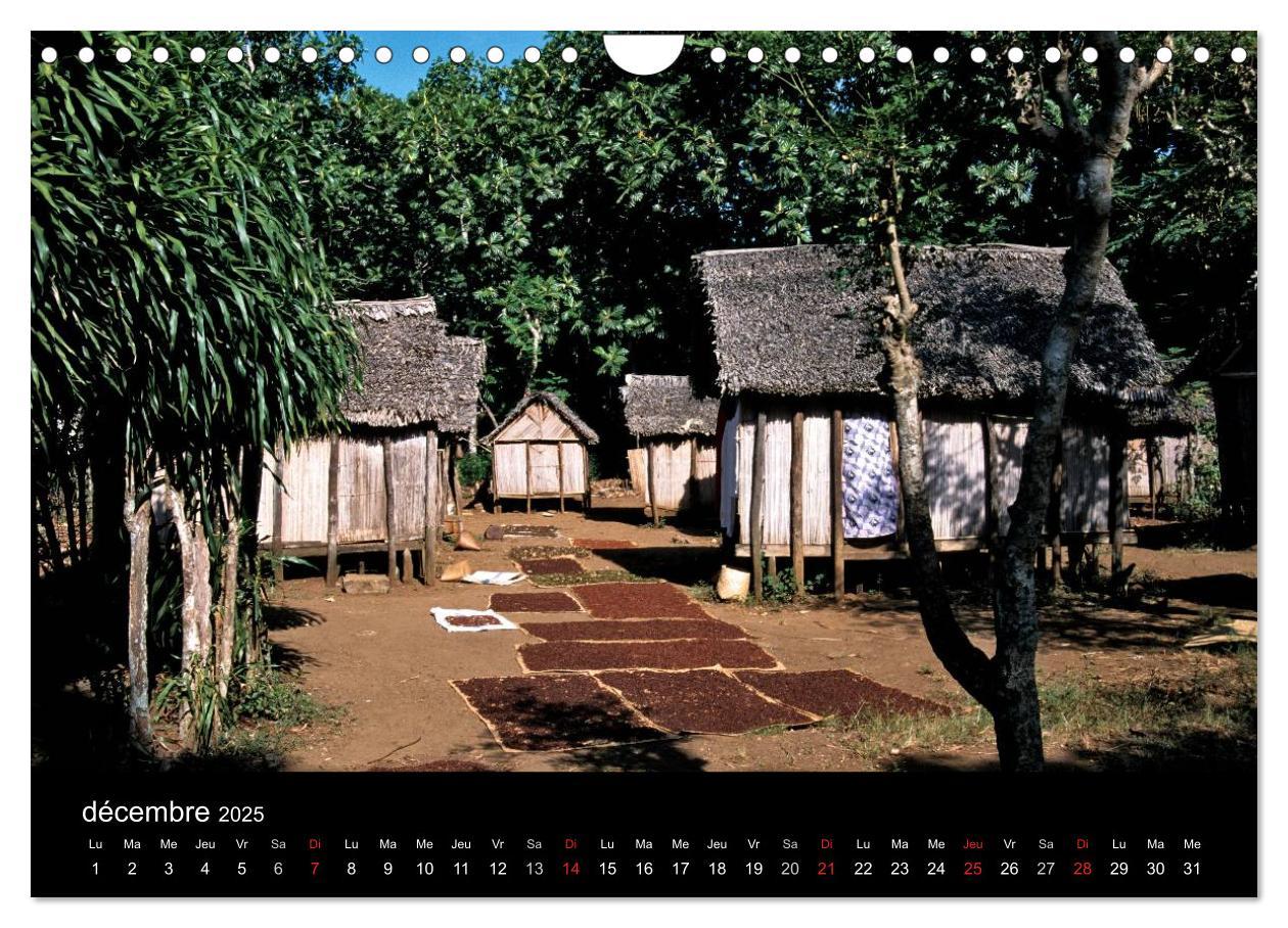 Bild: 9781325960613 | Madagascar L'île aux merveilles (Calendrier mural 2025 DIN A4...